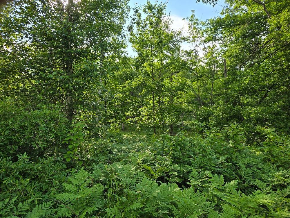 Tbd State 84 Ne Property Photo 3