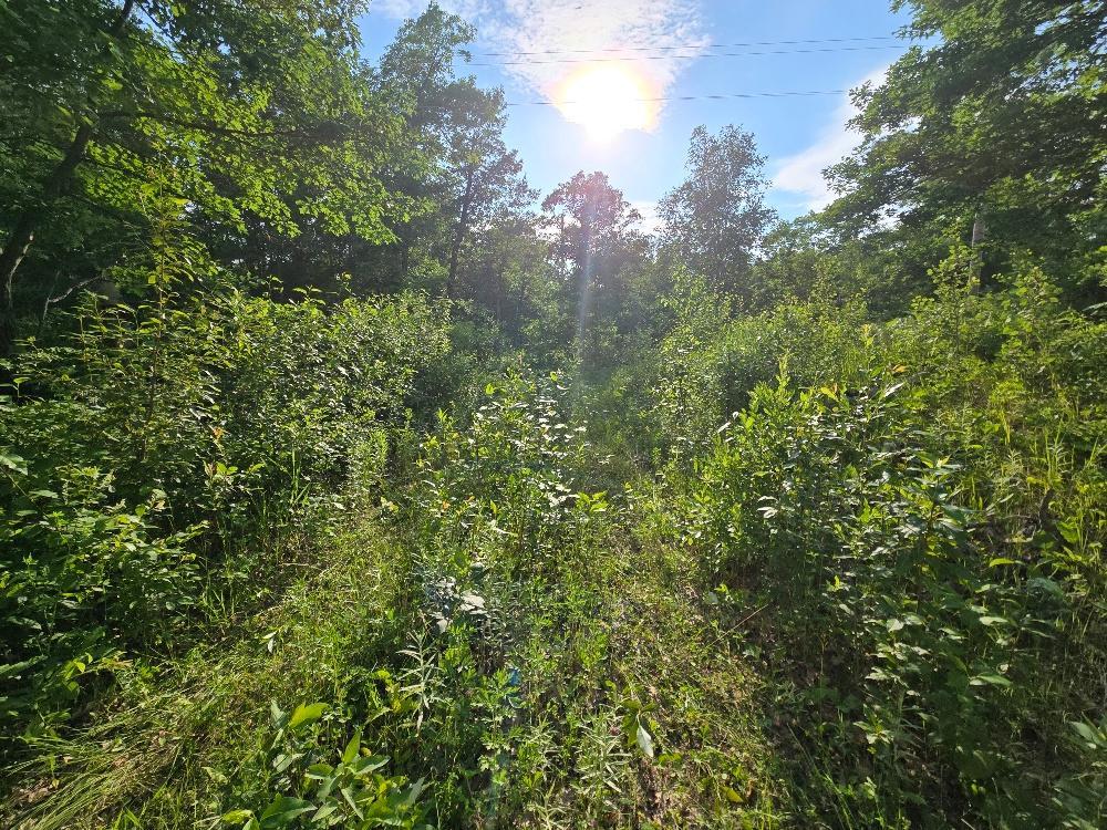 Tbd State 84 Ne Property Photo 5