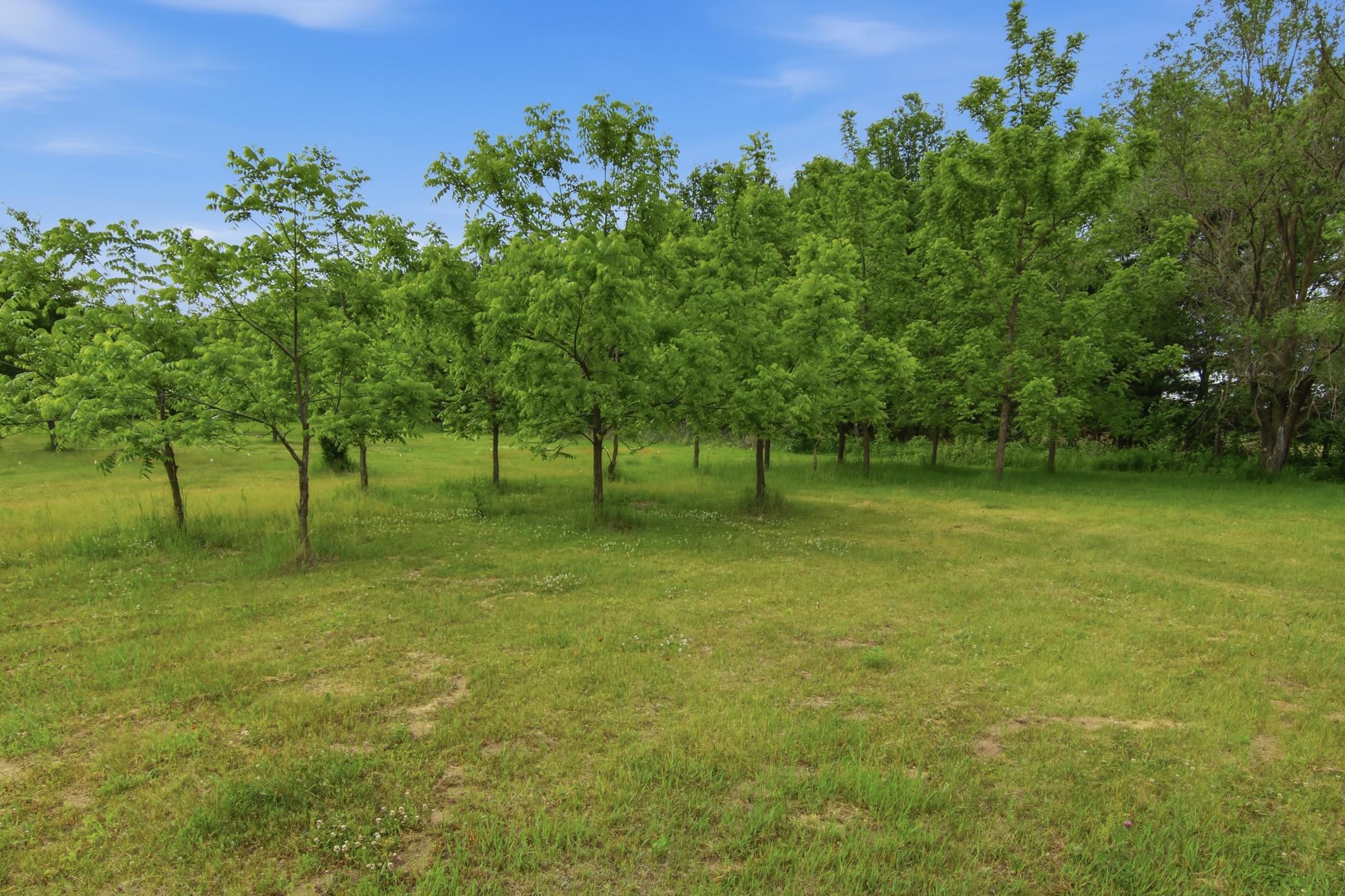 Lot 5 660th Avenue Property Photo 24
