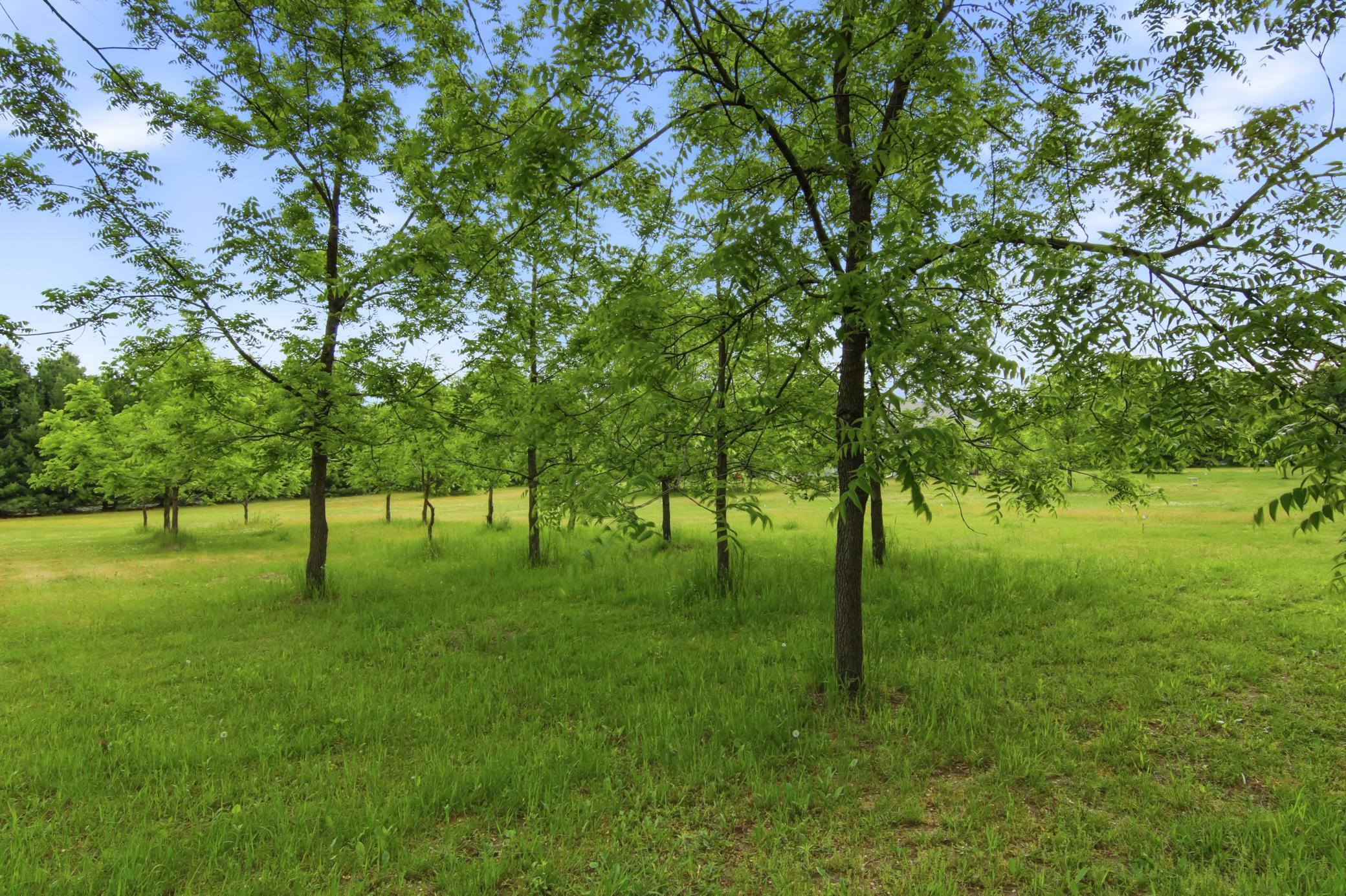 Lot 5 660th Avenue Property Photo 26