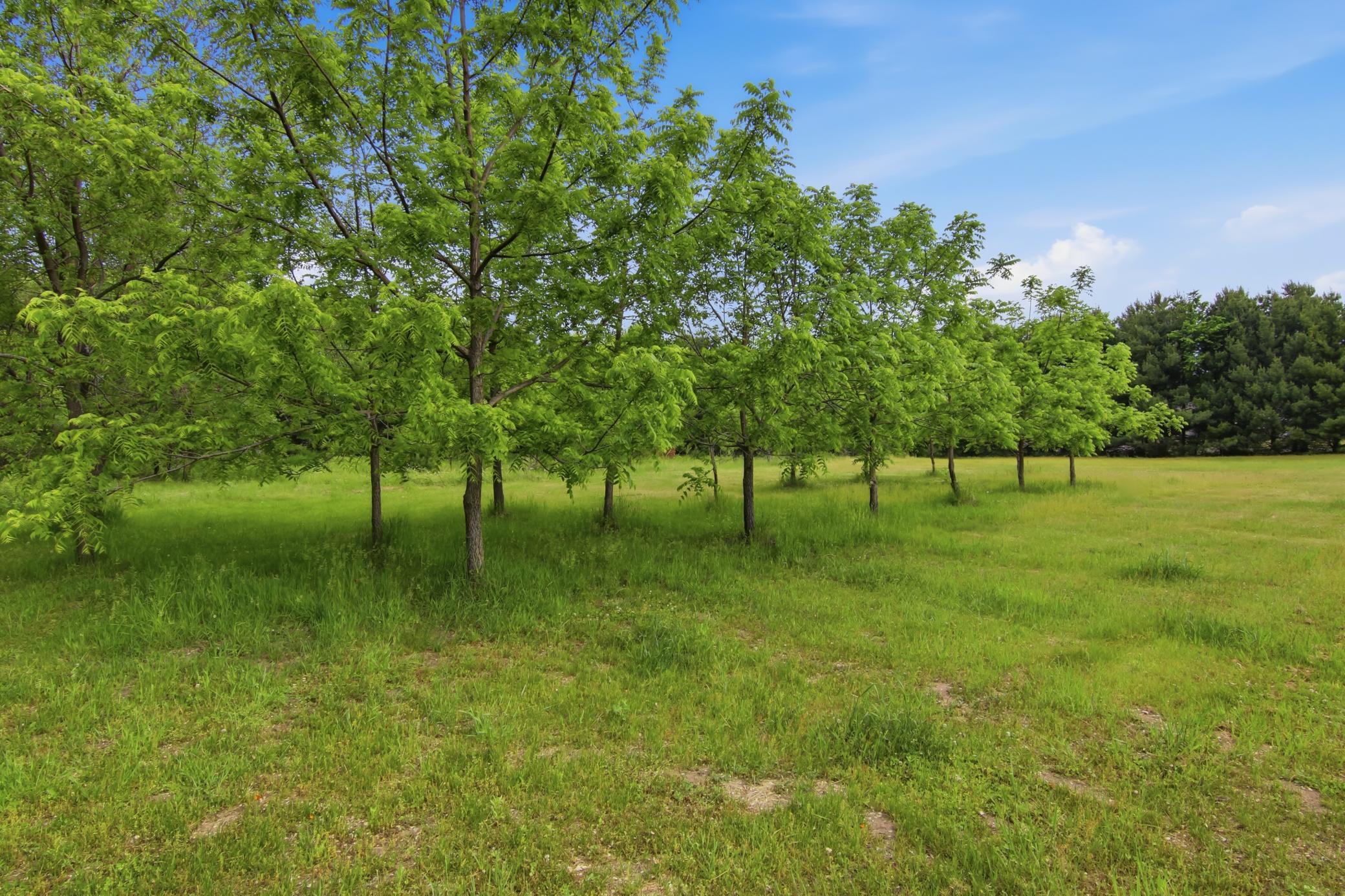 Lot 5 660th Avenue Property Photo 29