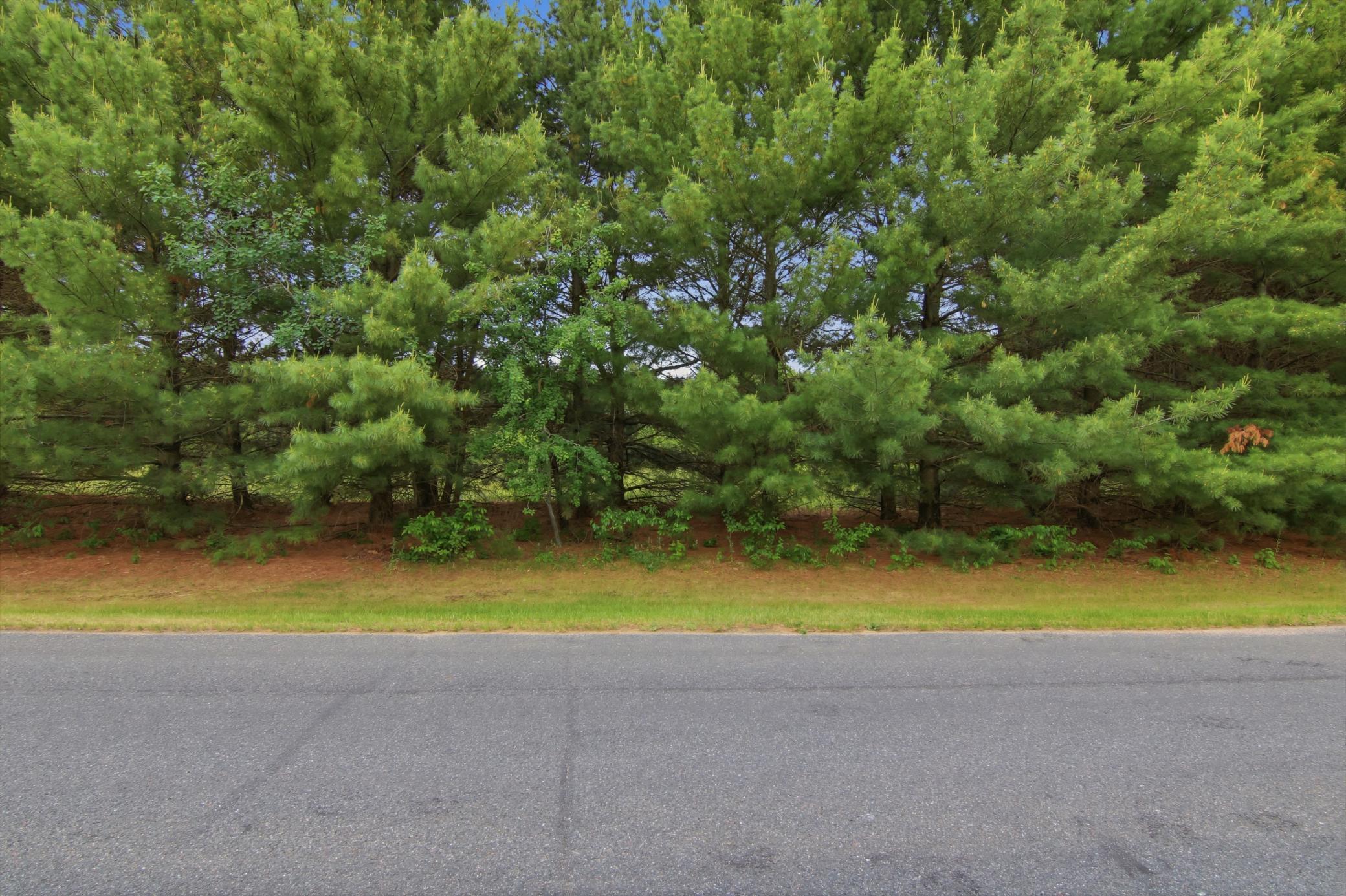 Lot 5 660th Avenue Property Photo 34