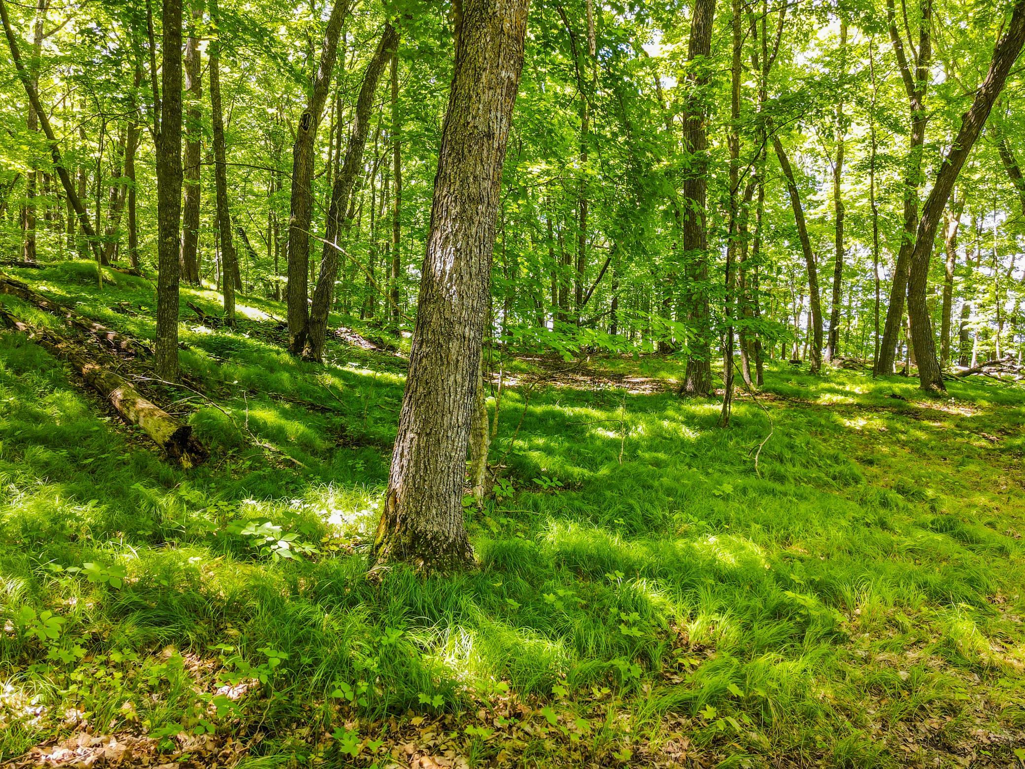 44698 Idas Road Property Photo 4