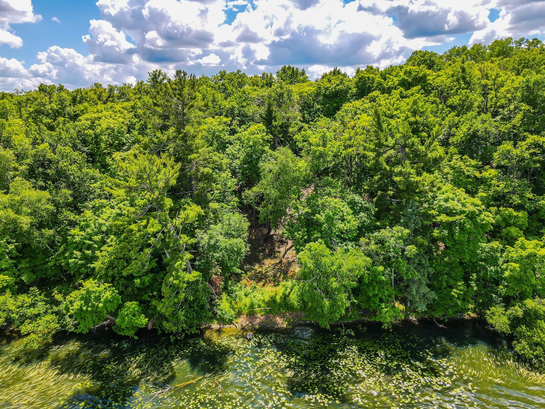 44698 Idas Road Property Photo 14