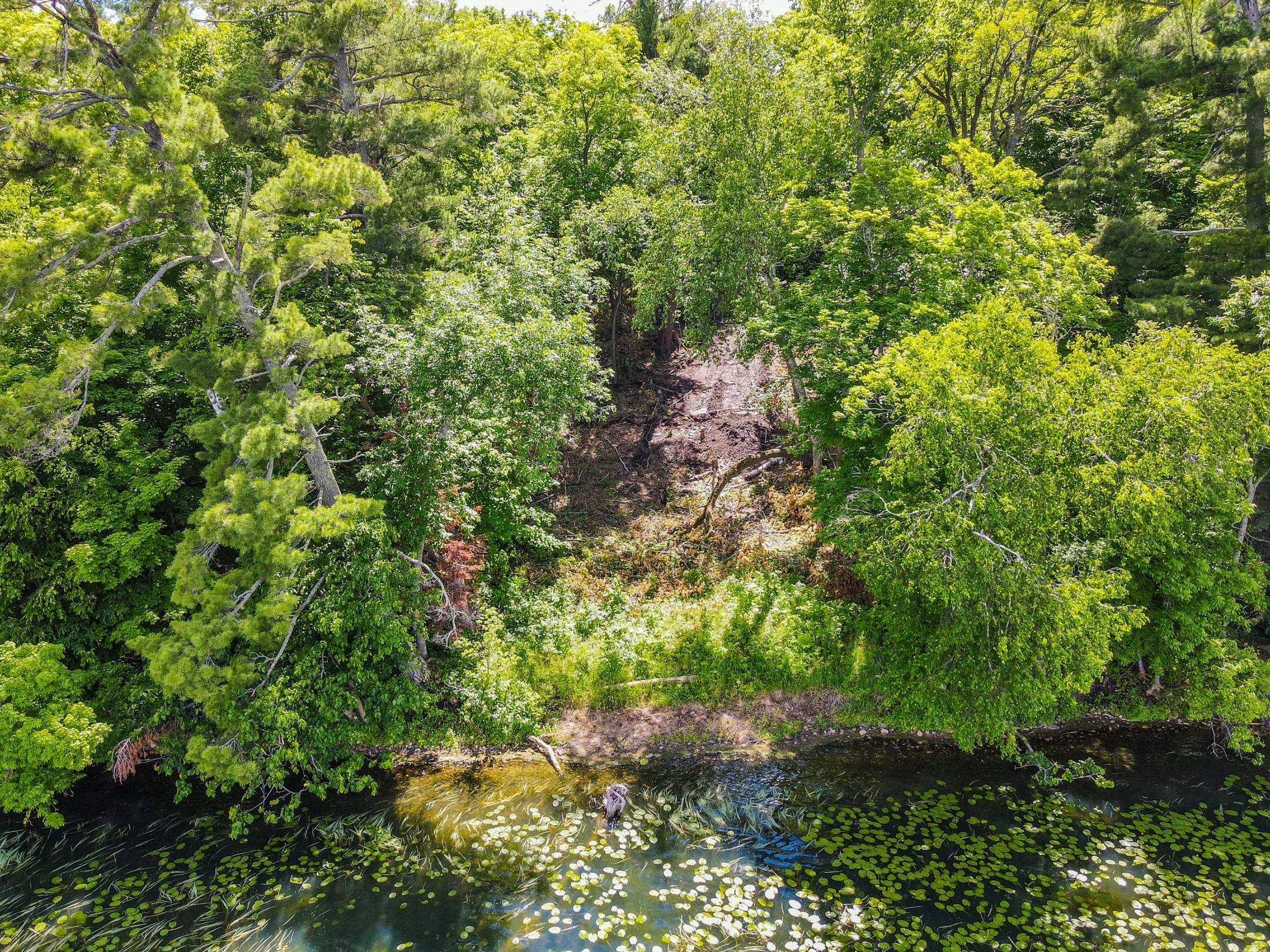 44698 Idas Road Property Photo 16
