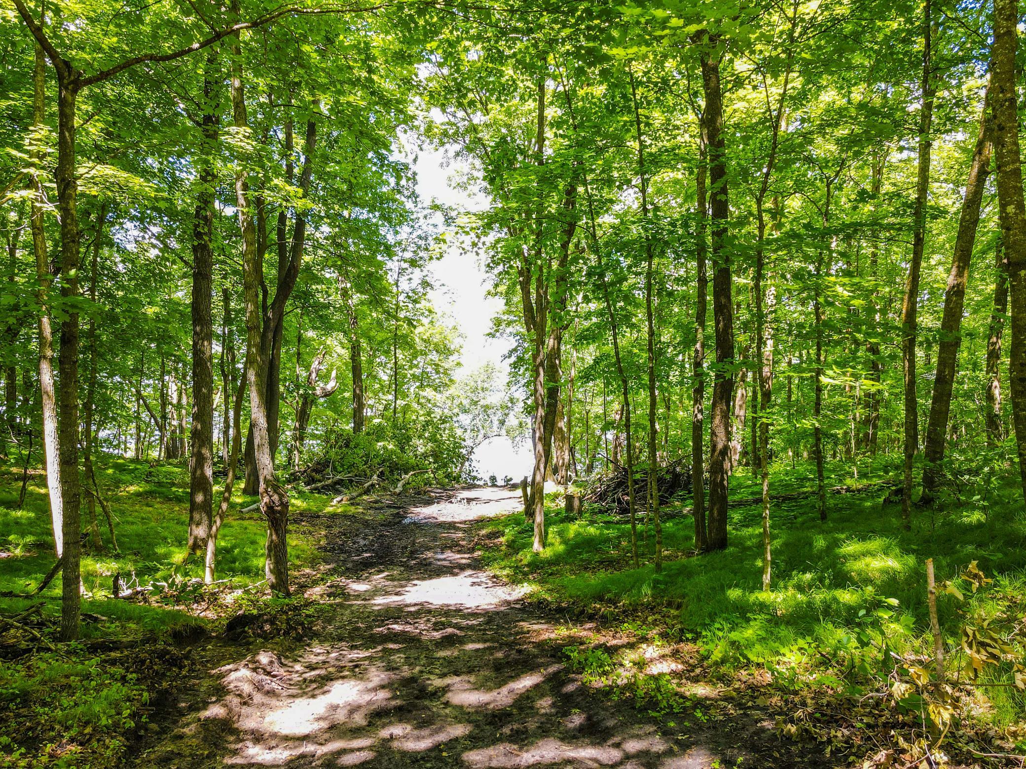 44698 Idas Road Property Photo 17