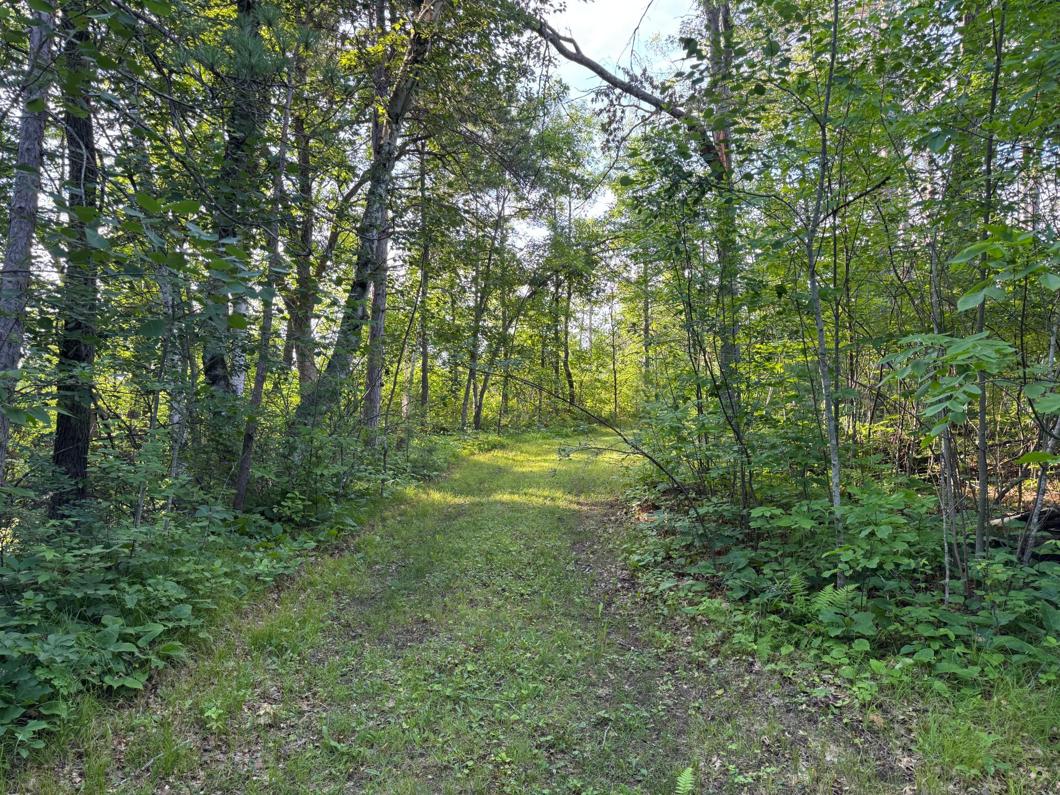 Tbd-1 N Riverside Road Property Photo 1