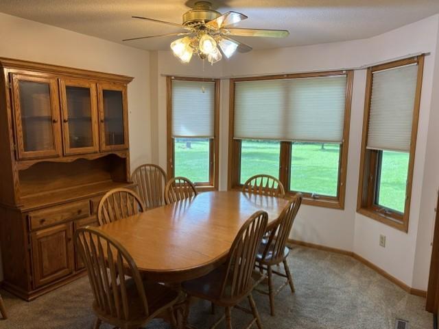 33850 98th Street Property Photo 12