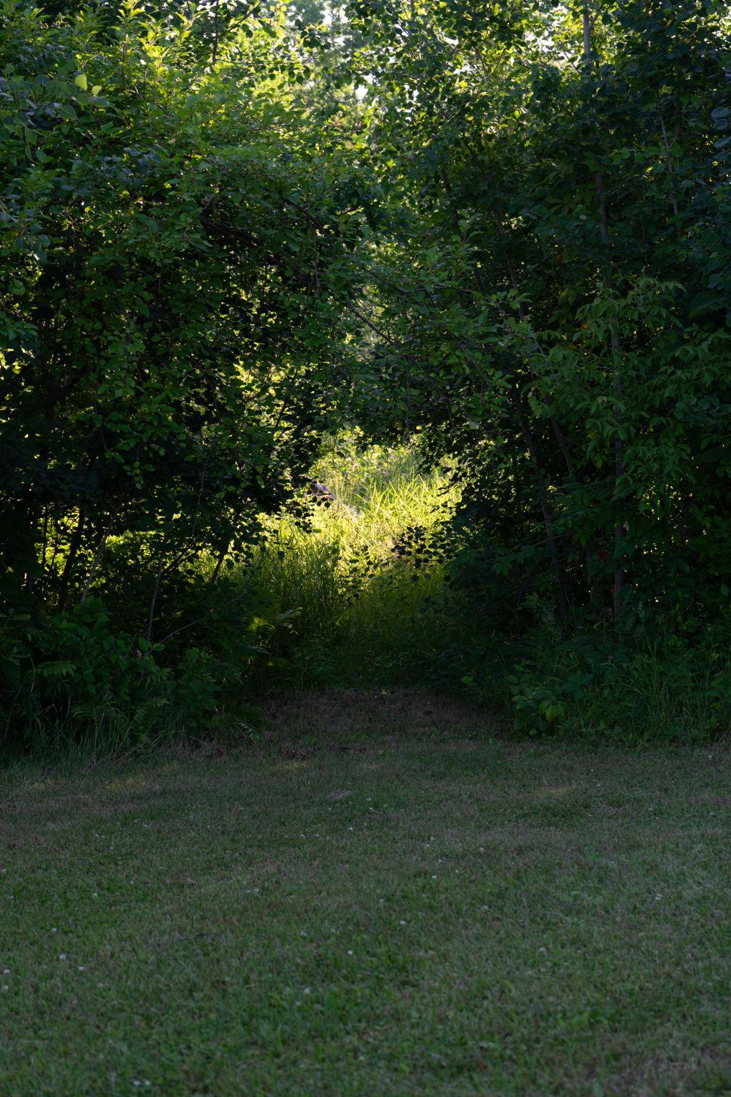 43231 County Highway 61 Property Photo 66