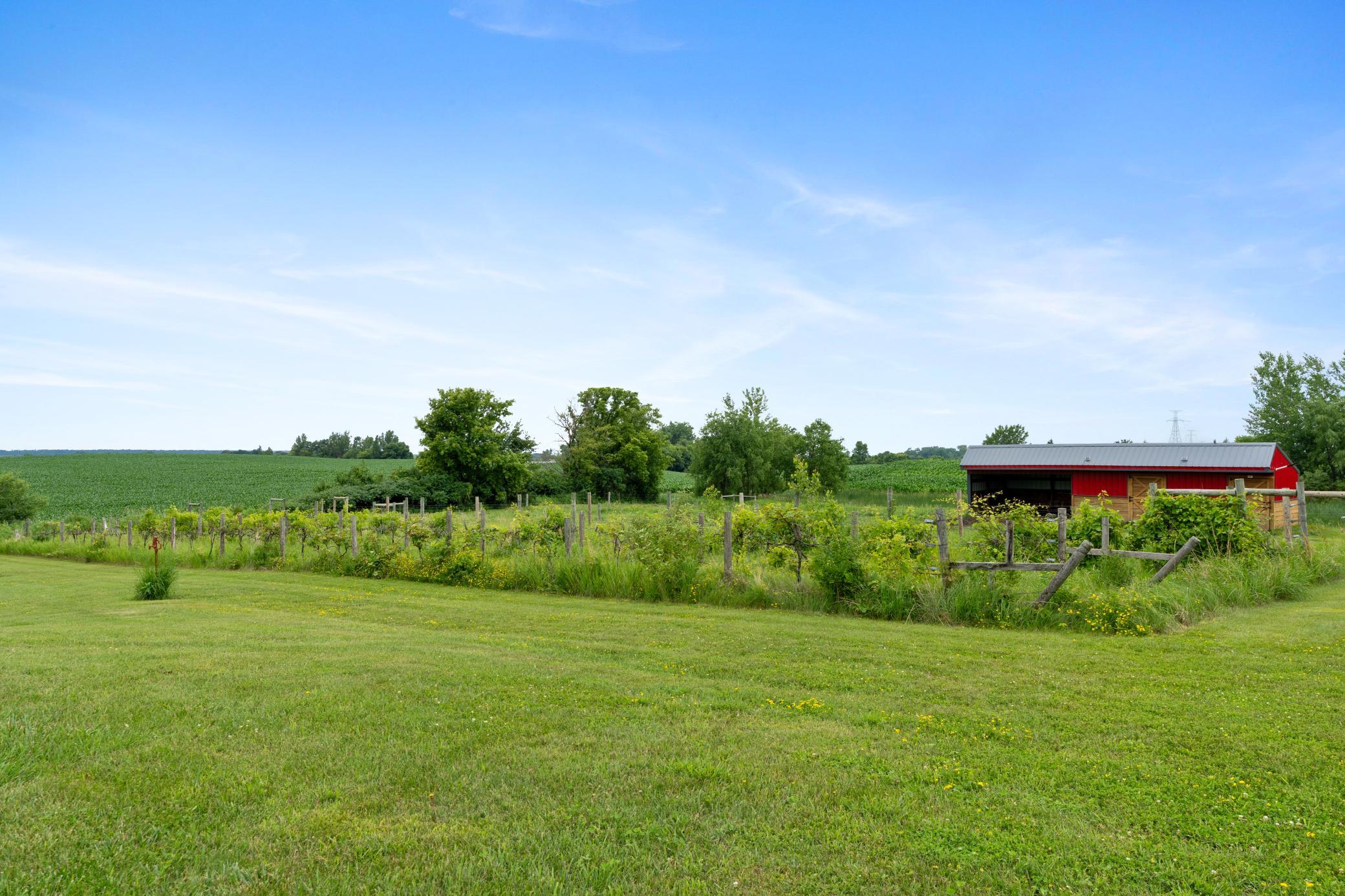 25759 State Highway 55 Property Photo 49