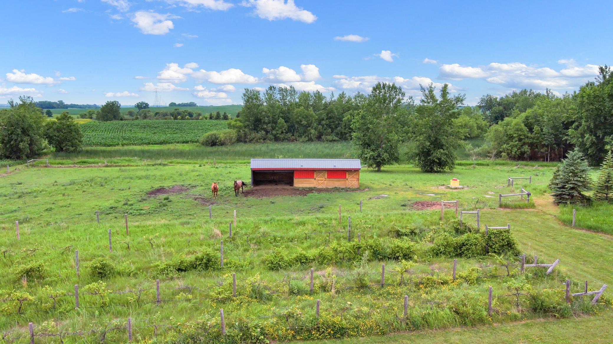 25759 State Highway 55 Property Photo 82