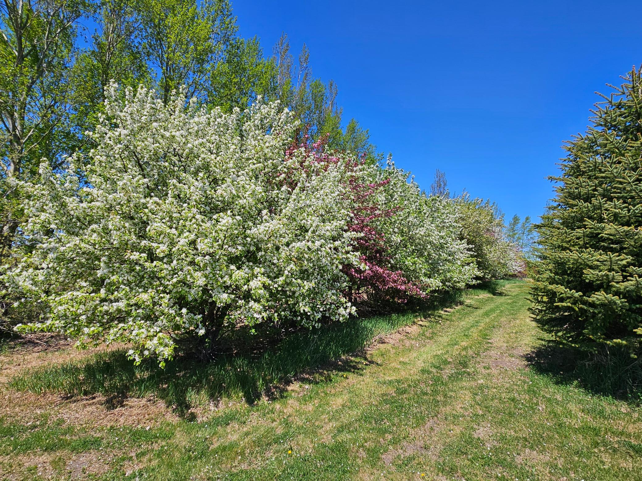 25759 State Highway 55 Property Photo 103