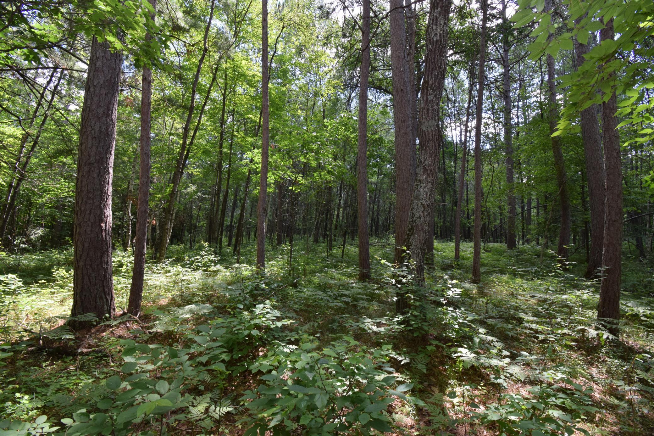 Lot 2 Saylors Lane Property Photo 1