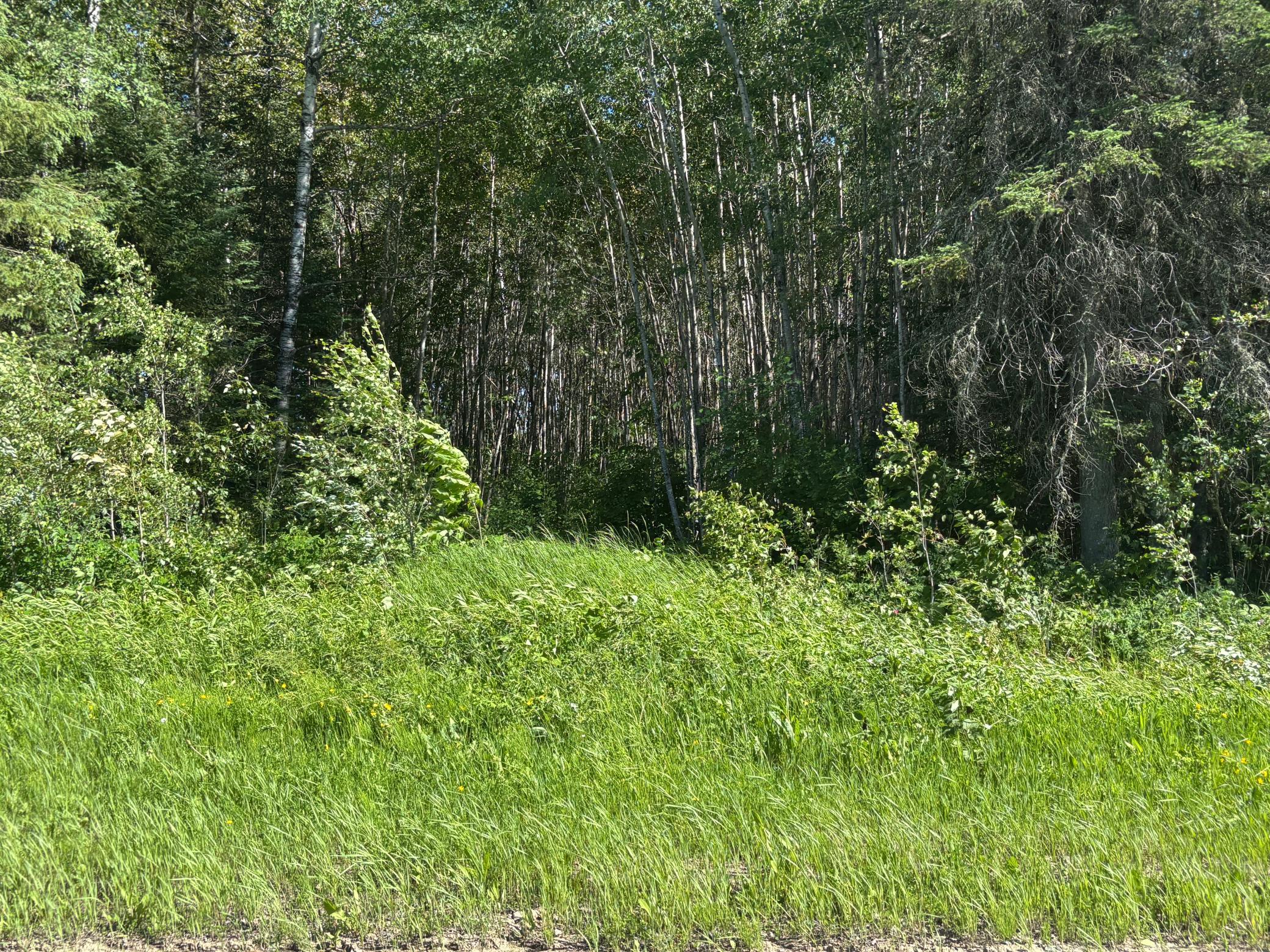 Tbd 10 County Rd 75 Property Photo 6