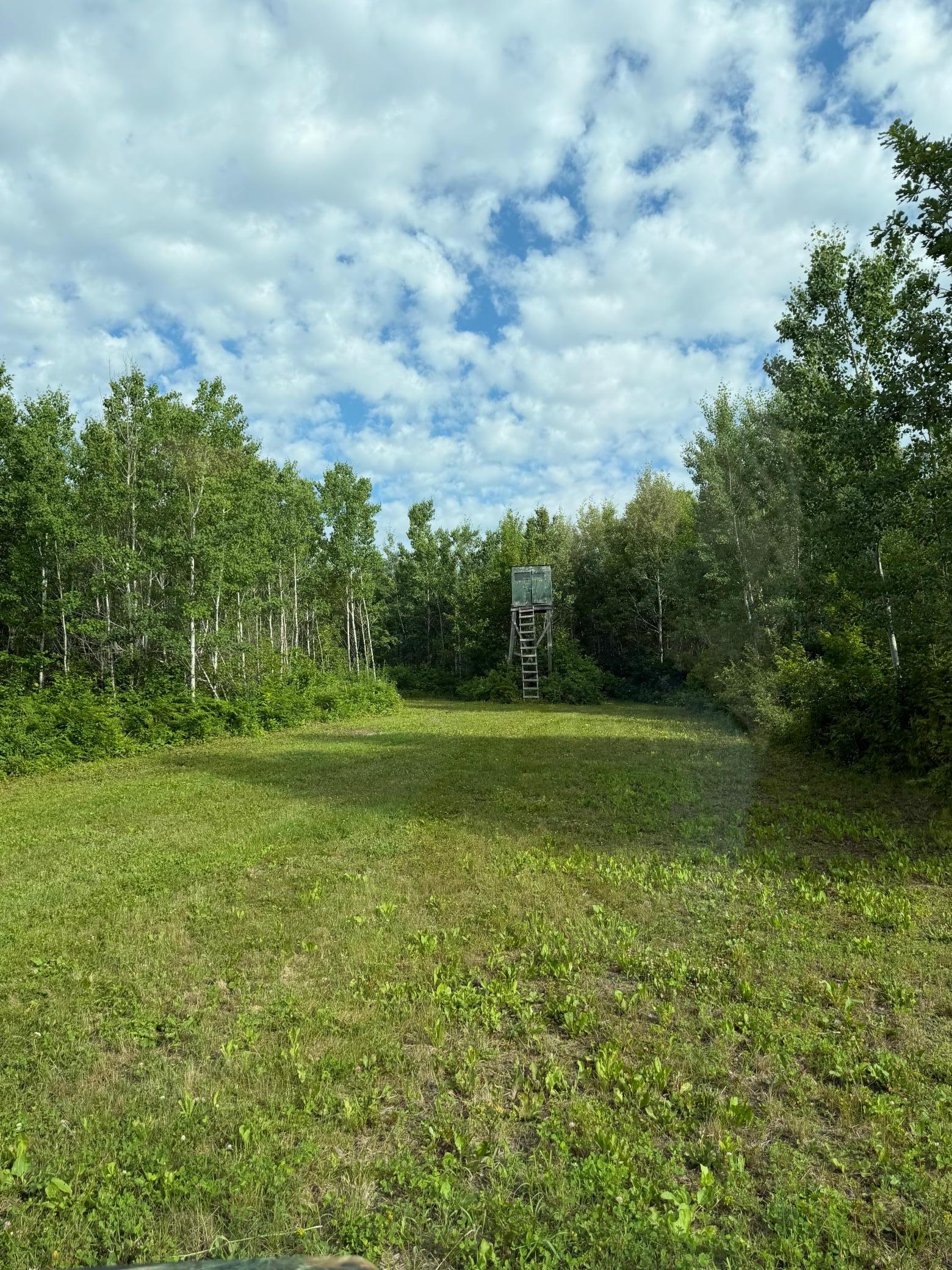 000 County Rd 56 Property Photo 4