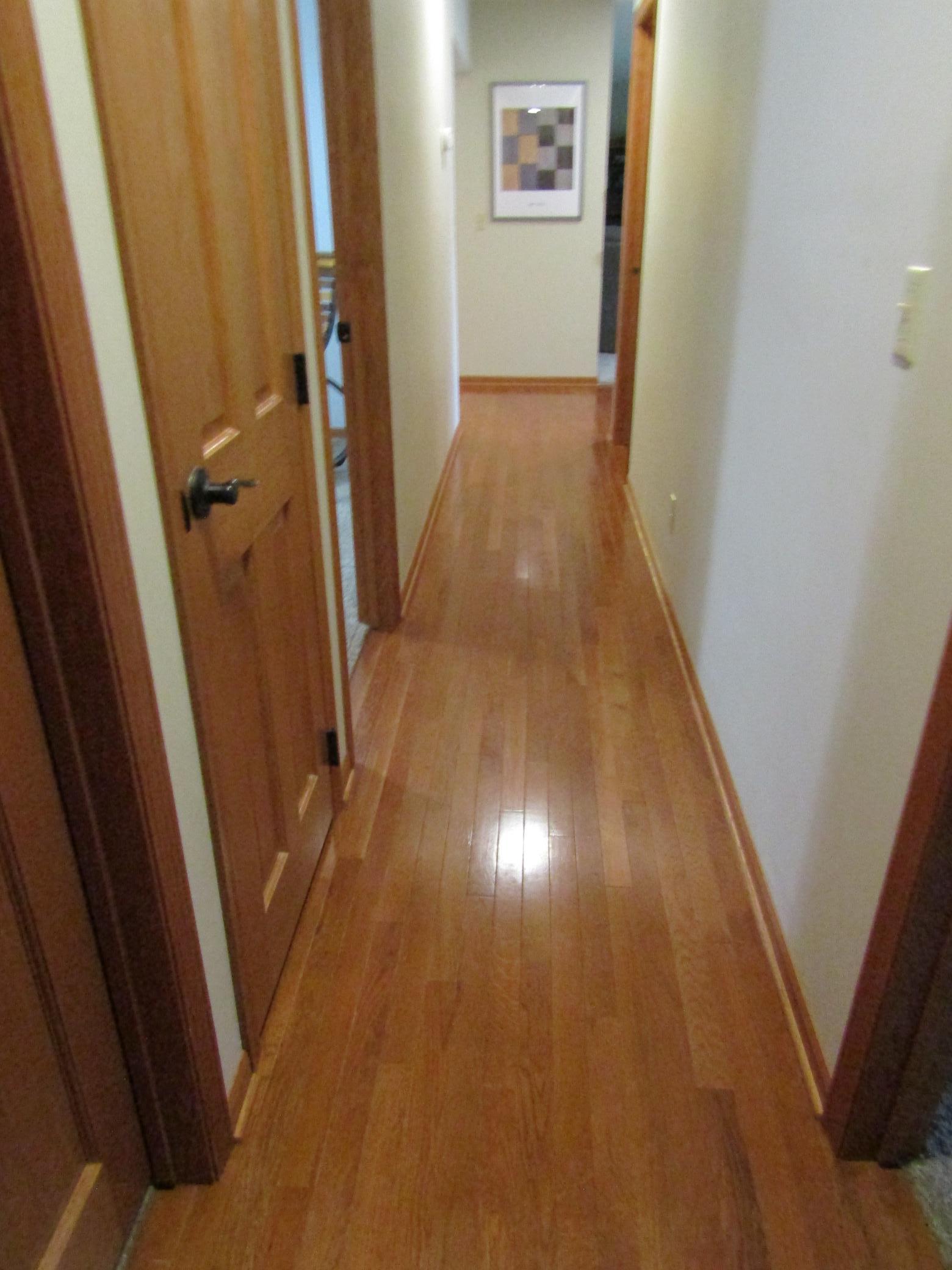 407 Eichelberger Avenue Property Photo 25