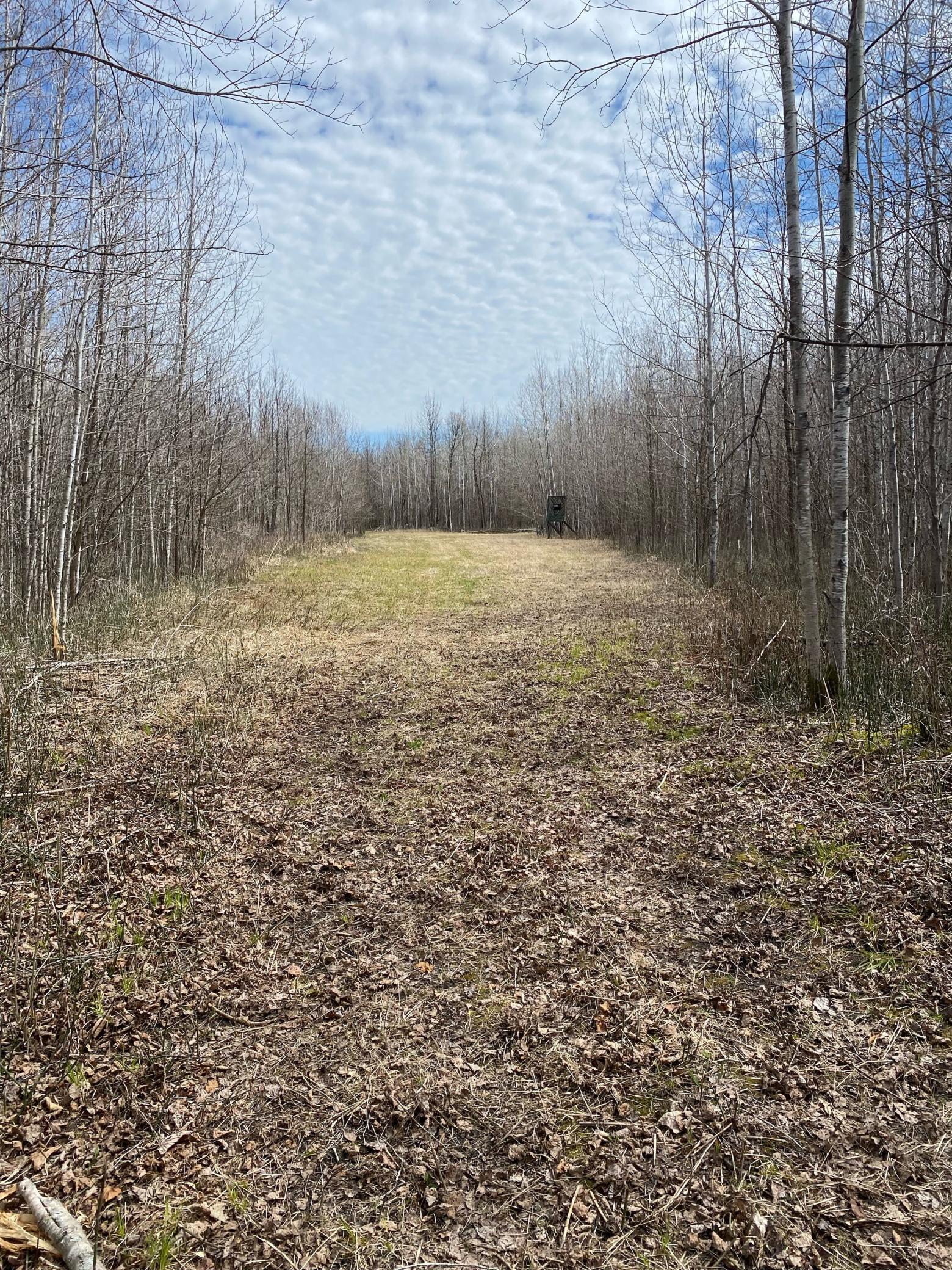 Tbd County Road 79 Property Photo 1
