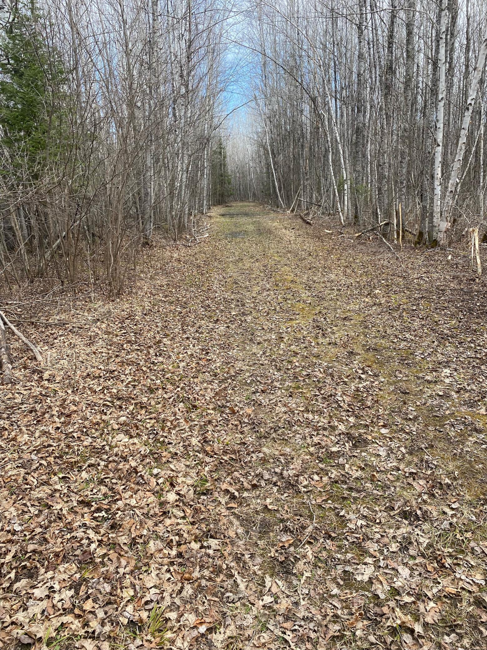 Tbd County Road 79 Property Photo 3