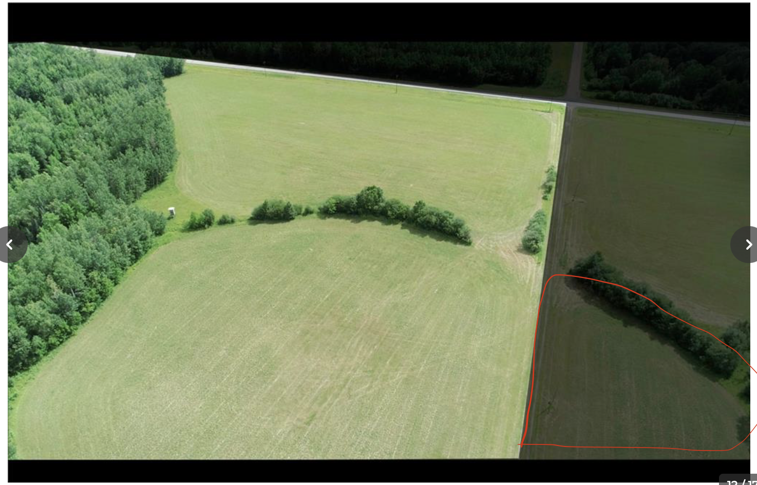 Tbd County Road 79 Property Photo 5