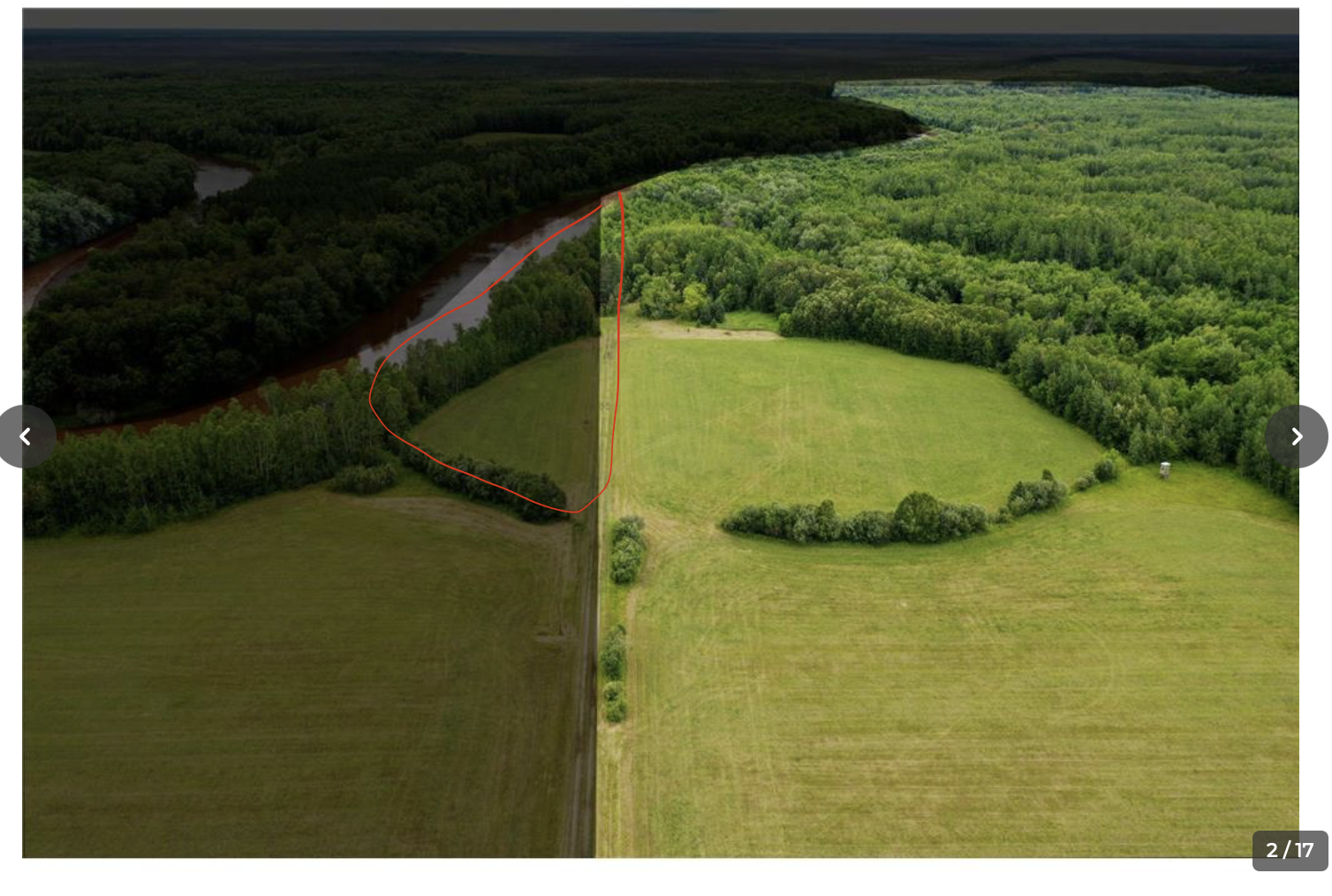 Tbd County Road 79 Property Photo 6