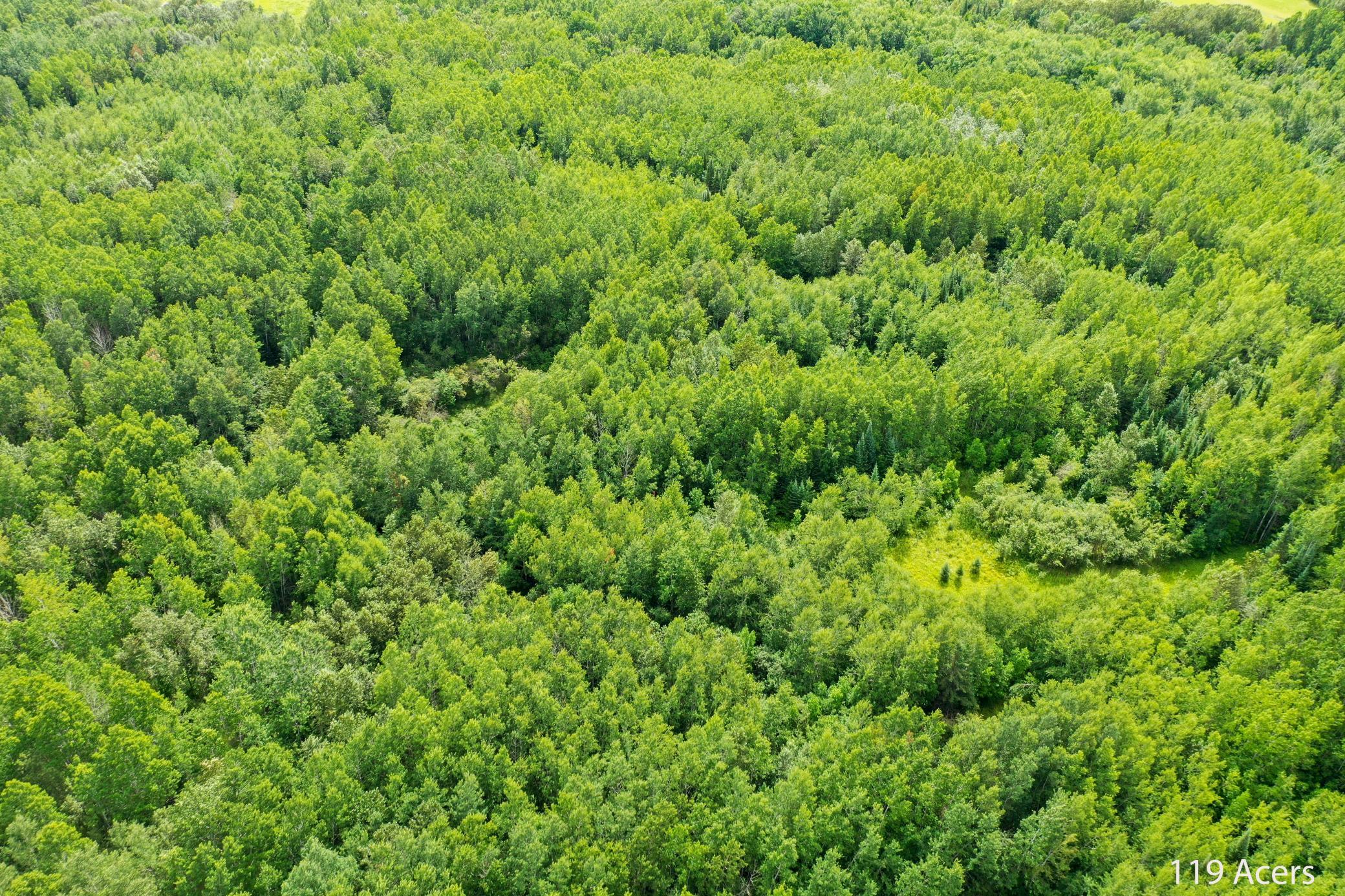 Tbd County Road 79 Property Photo 8