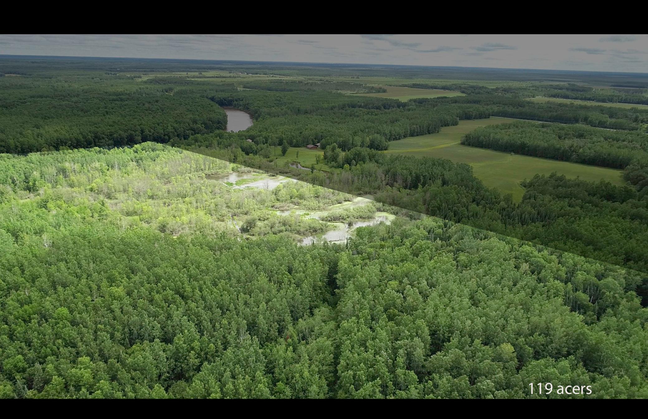 Tbd County Road 79 Property Photo 16
