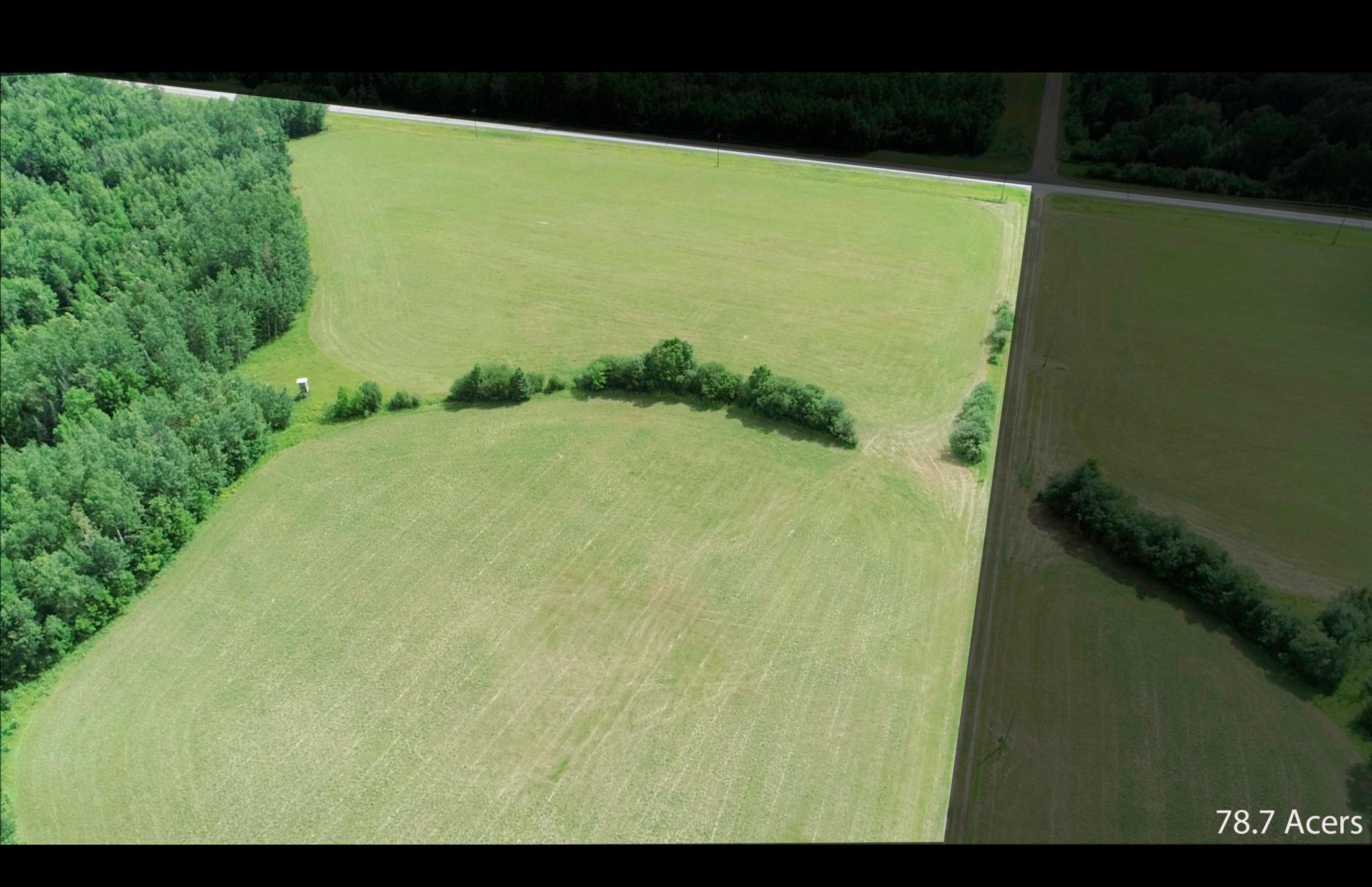 Tbd County Rd 79 Property Photo 5