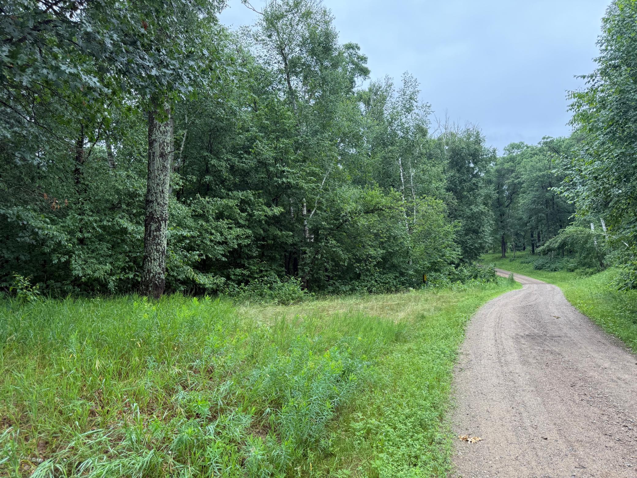 Tbd Hardy Lake Road Property Photo 3