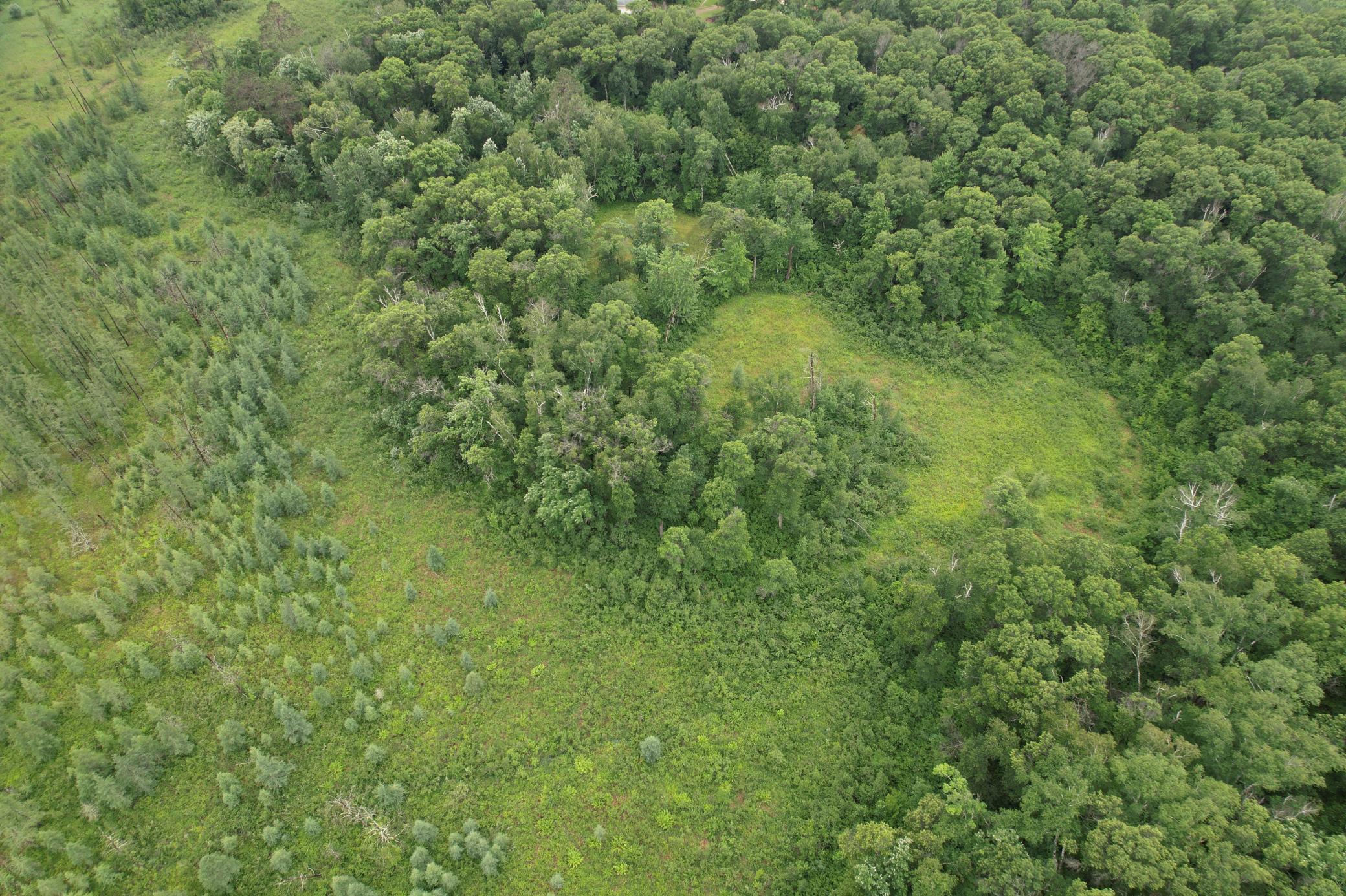 Tbd Hardy Lake Road Property Photo 12