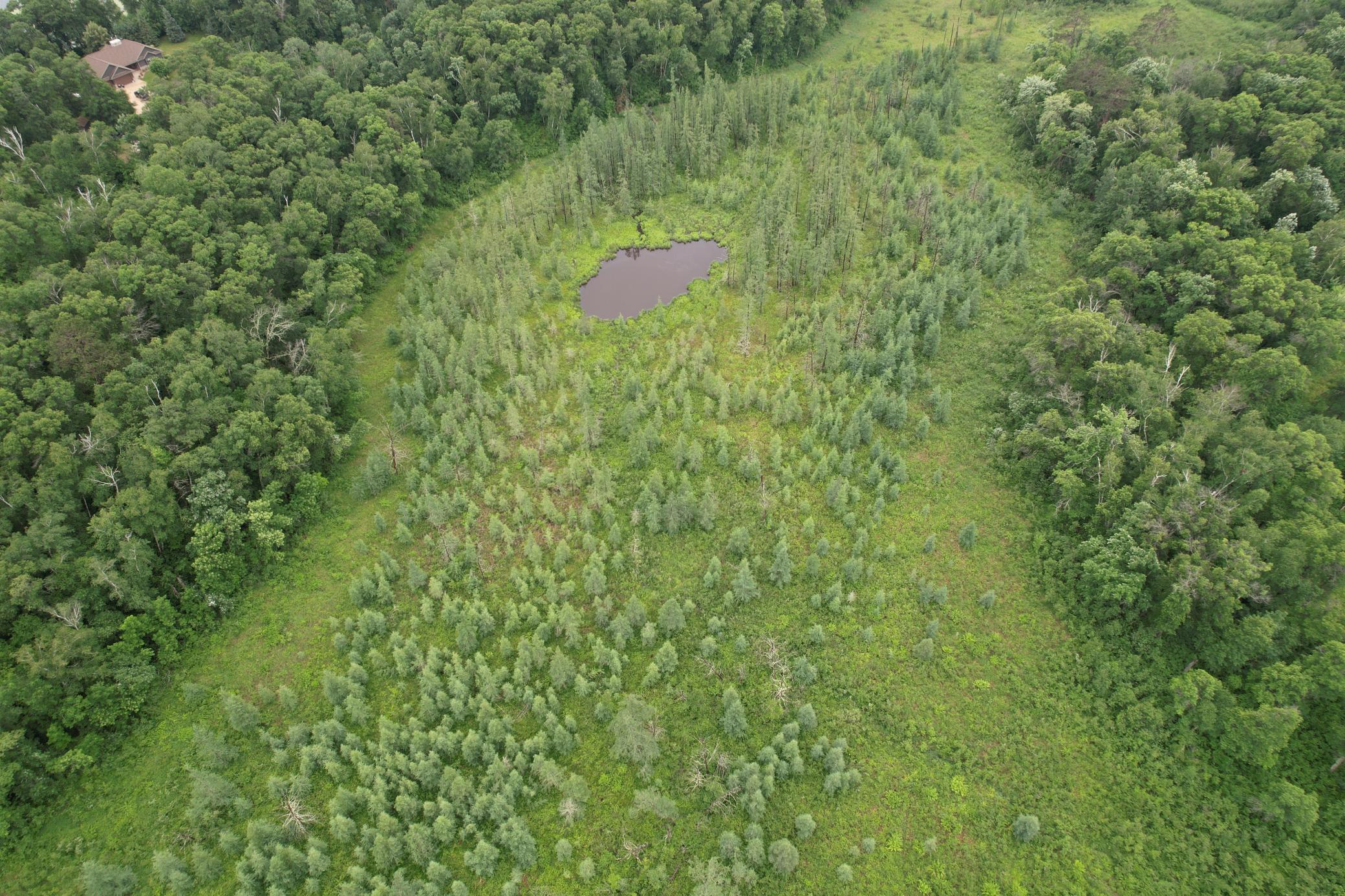Tbd Hardy Lake Road Property Photo 13