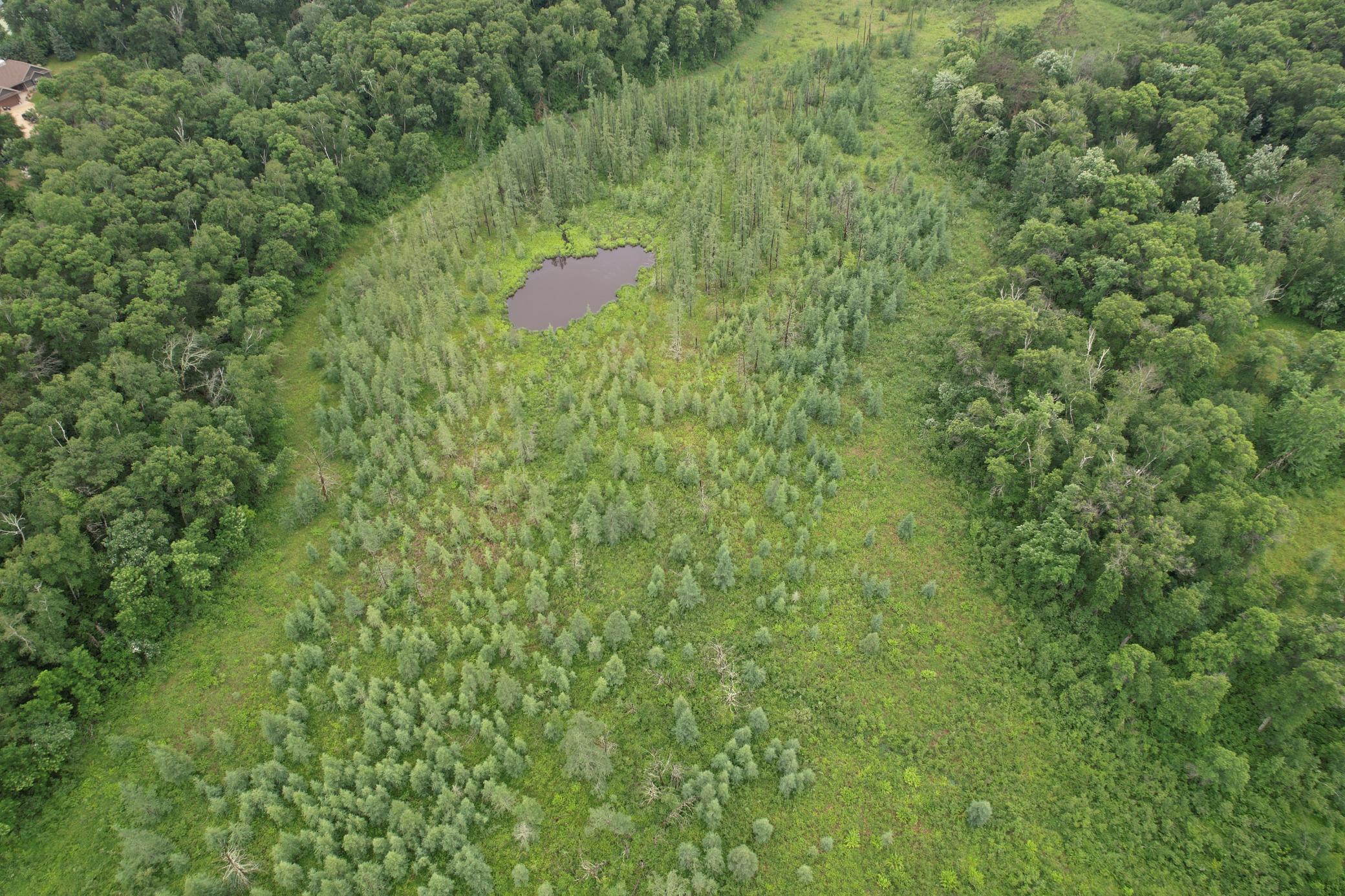 Tbd Hardy Lake Road Property Photo 16