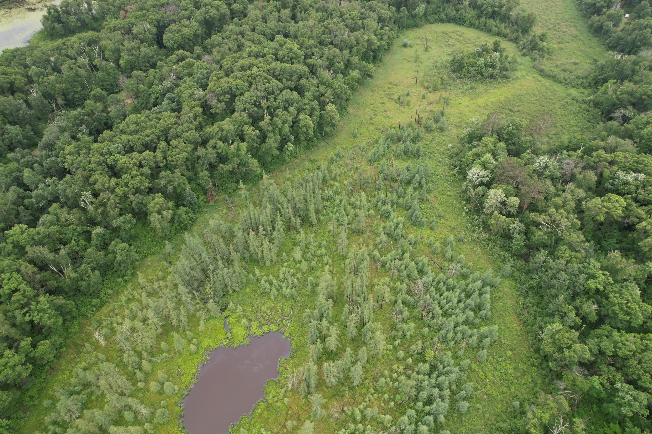 Tbd Hardy Lake Road Property Photo 18