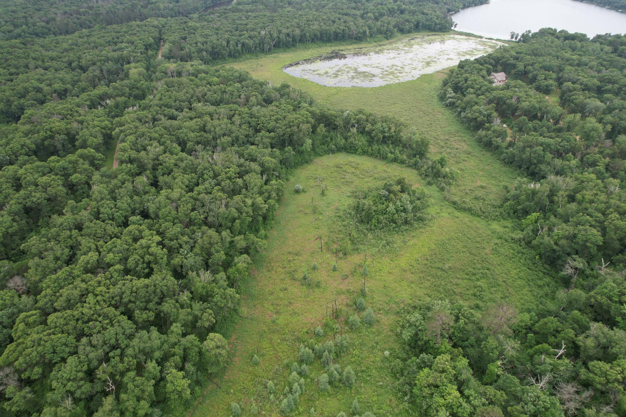 Tbd Hardy Lake Road Property Photo 19