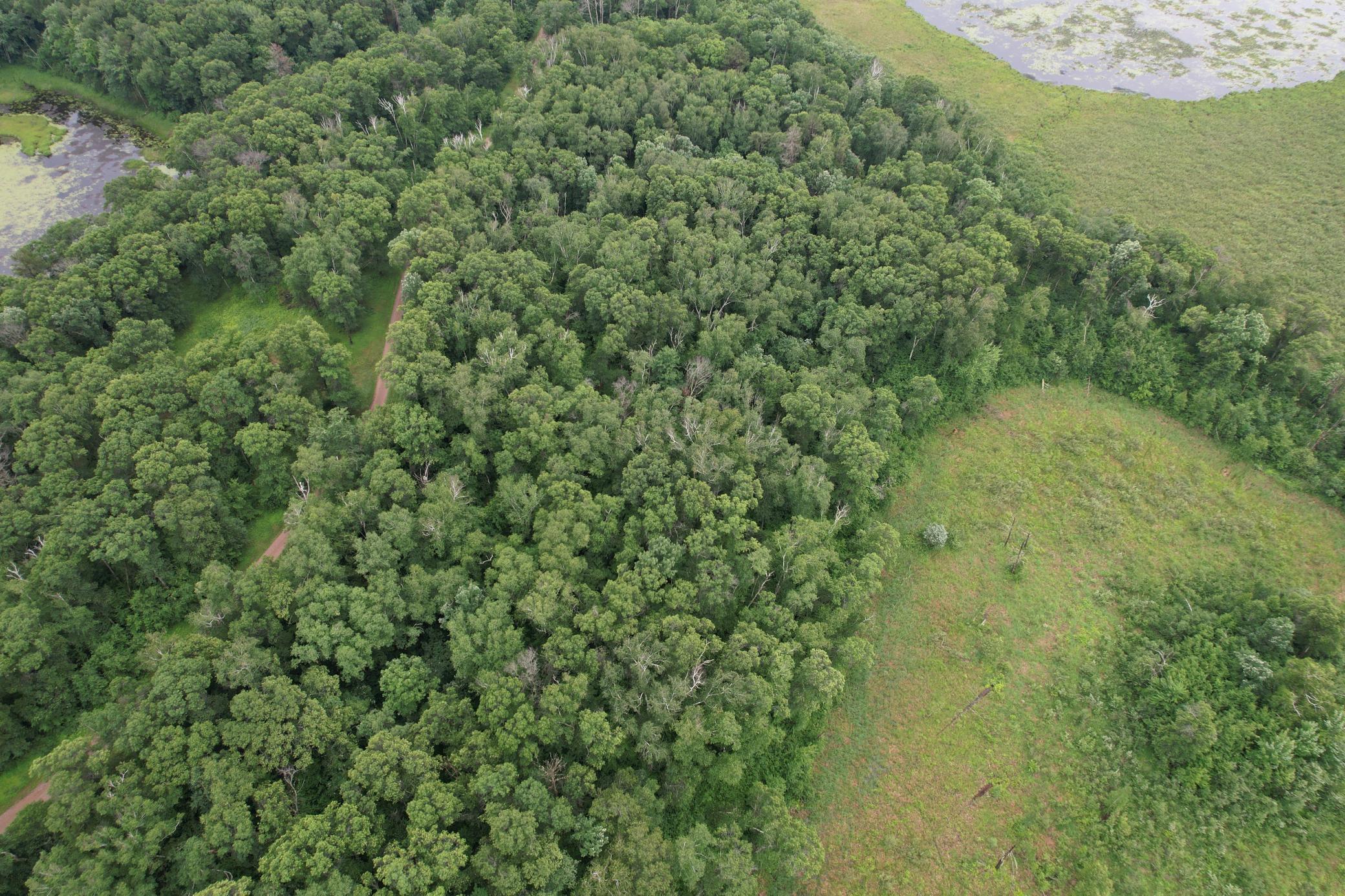 Tbd Hardy Lake Road Property Photo 22