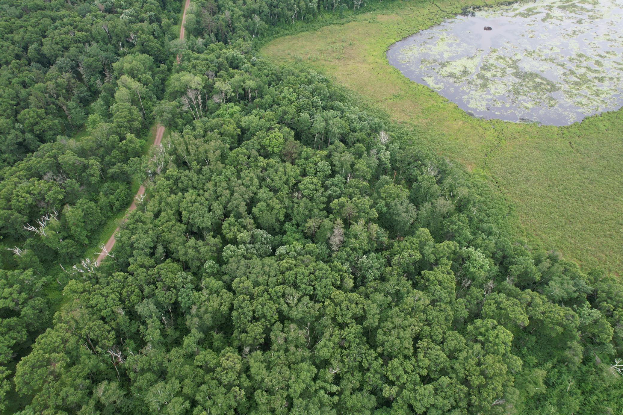 Tbd Hardy Lake Road Property Photo 23