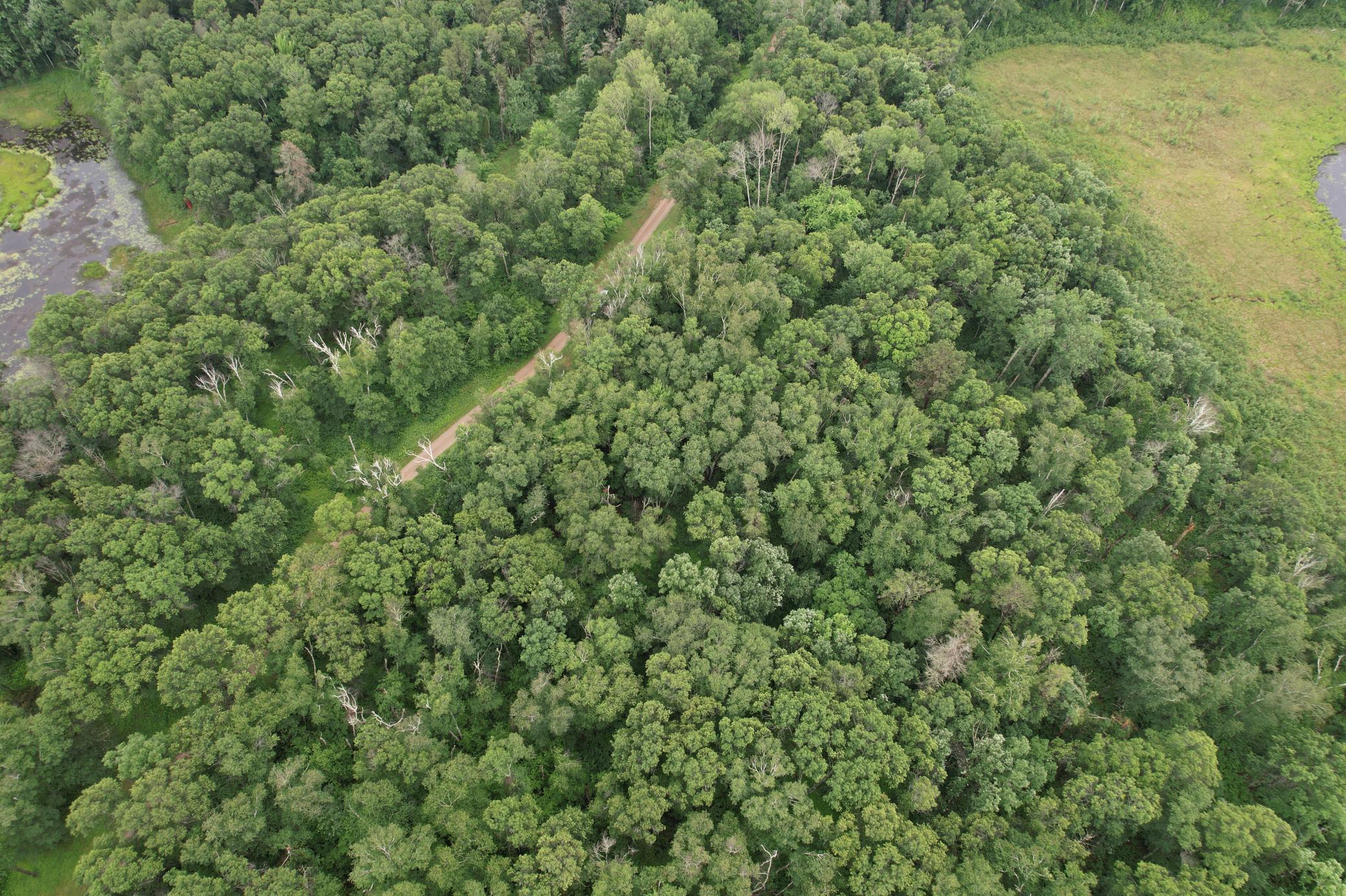 Tbd Hardy Lake Road Property Photo 26