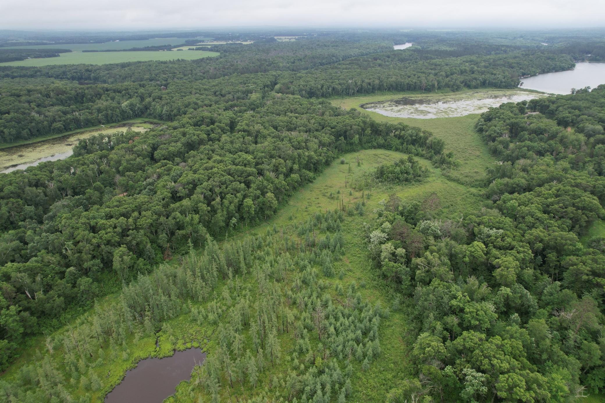 Tbd Hardy Lake Road Property Photo 29