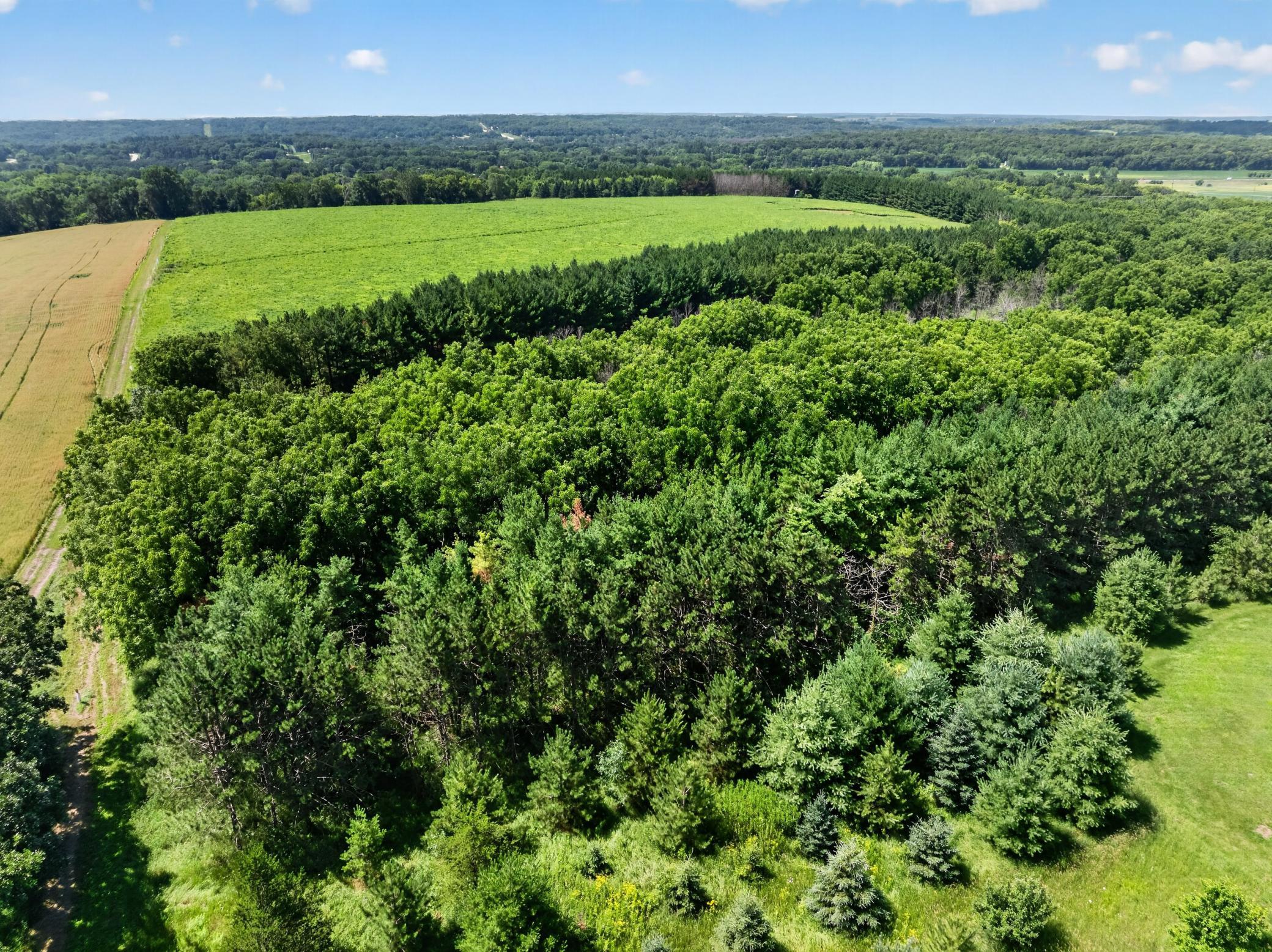 5490 College View Road E Property Photo 62