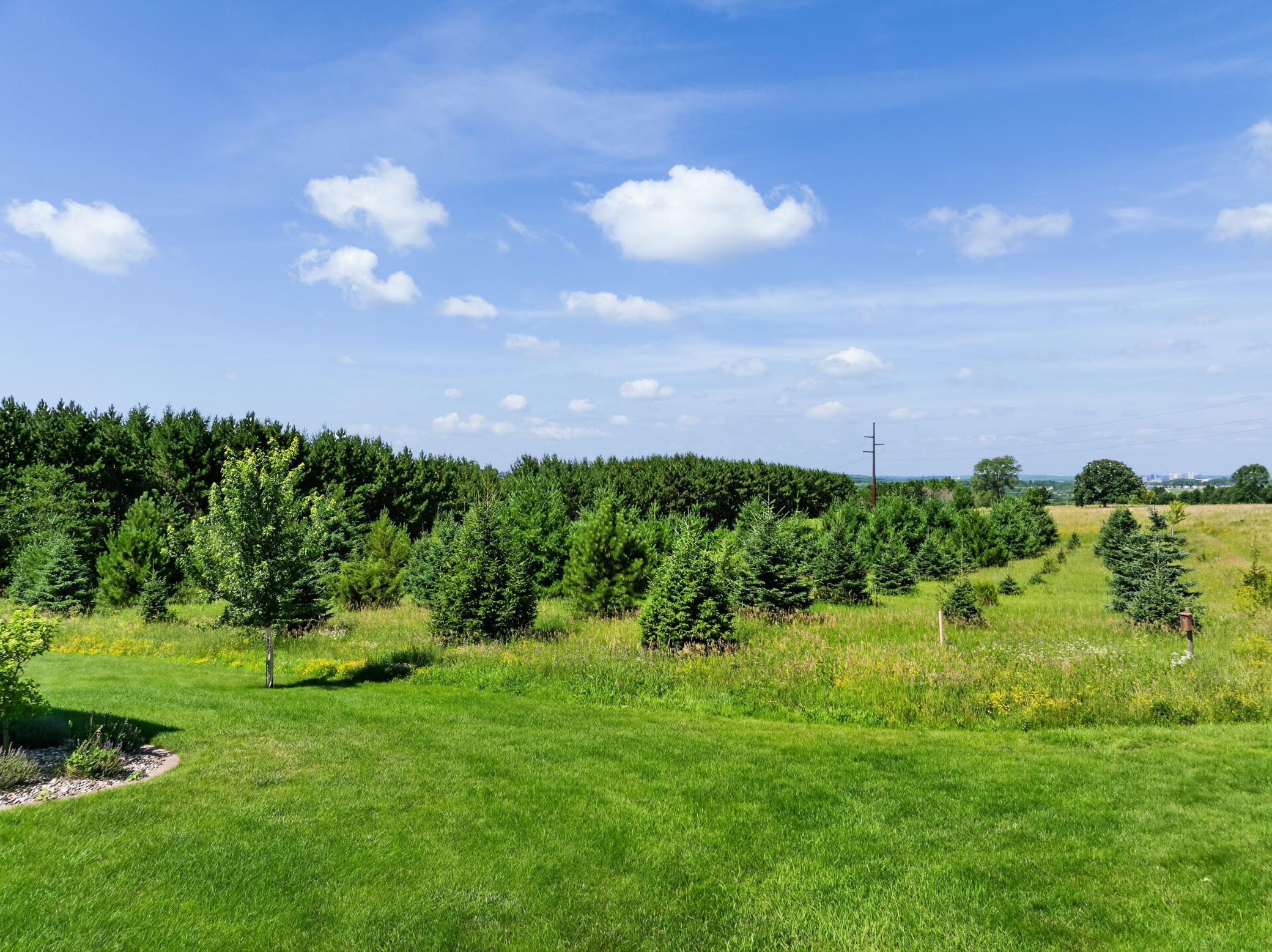 5490 College View Road E Property Photo 69