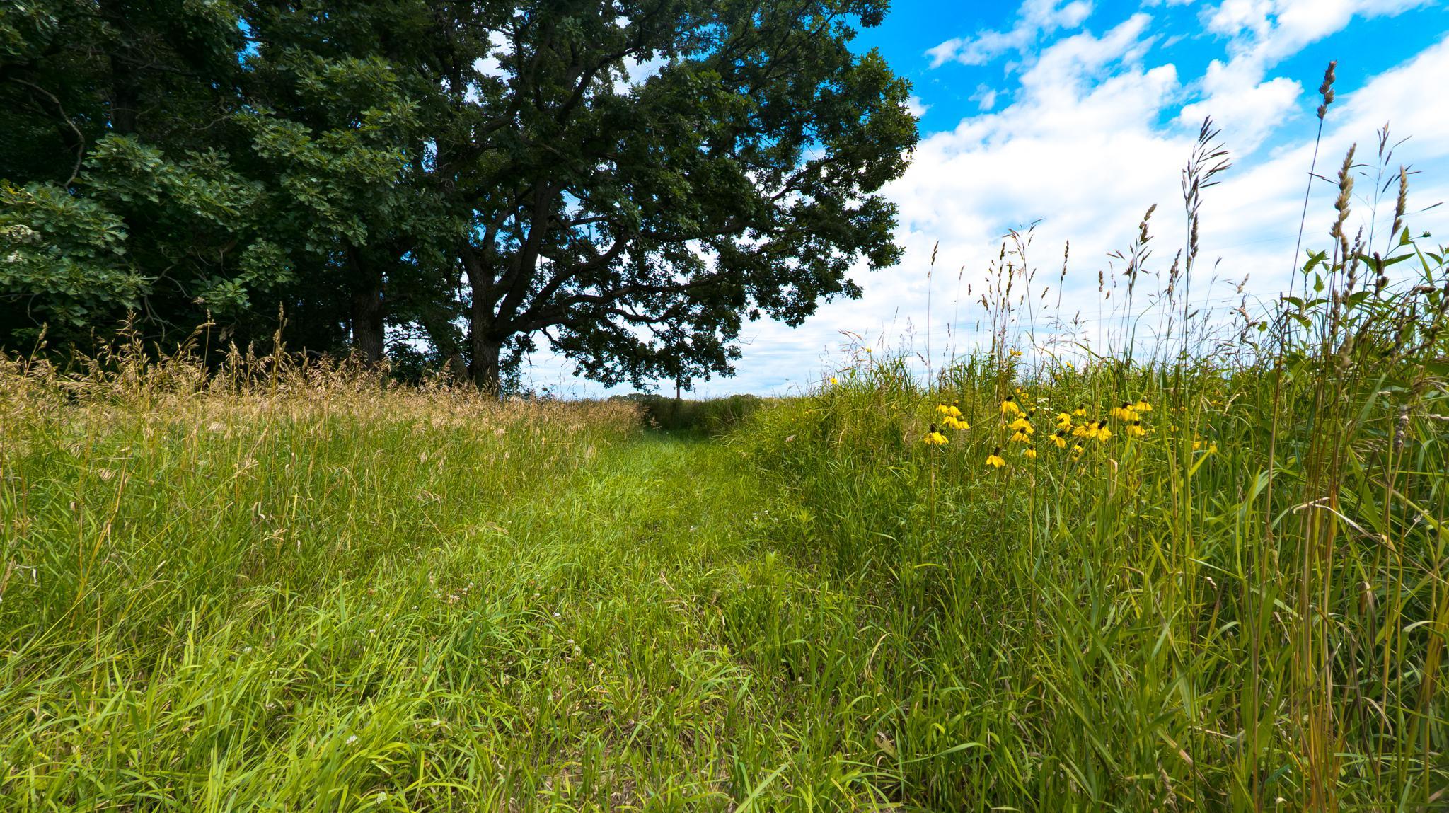 5490 College View Road E Property Photo 75