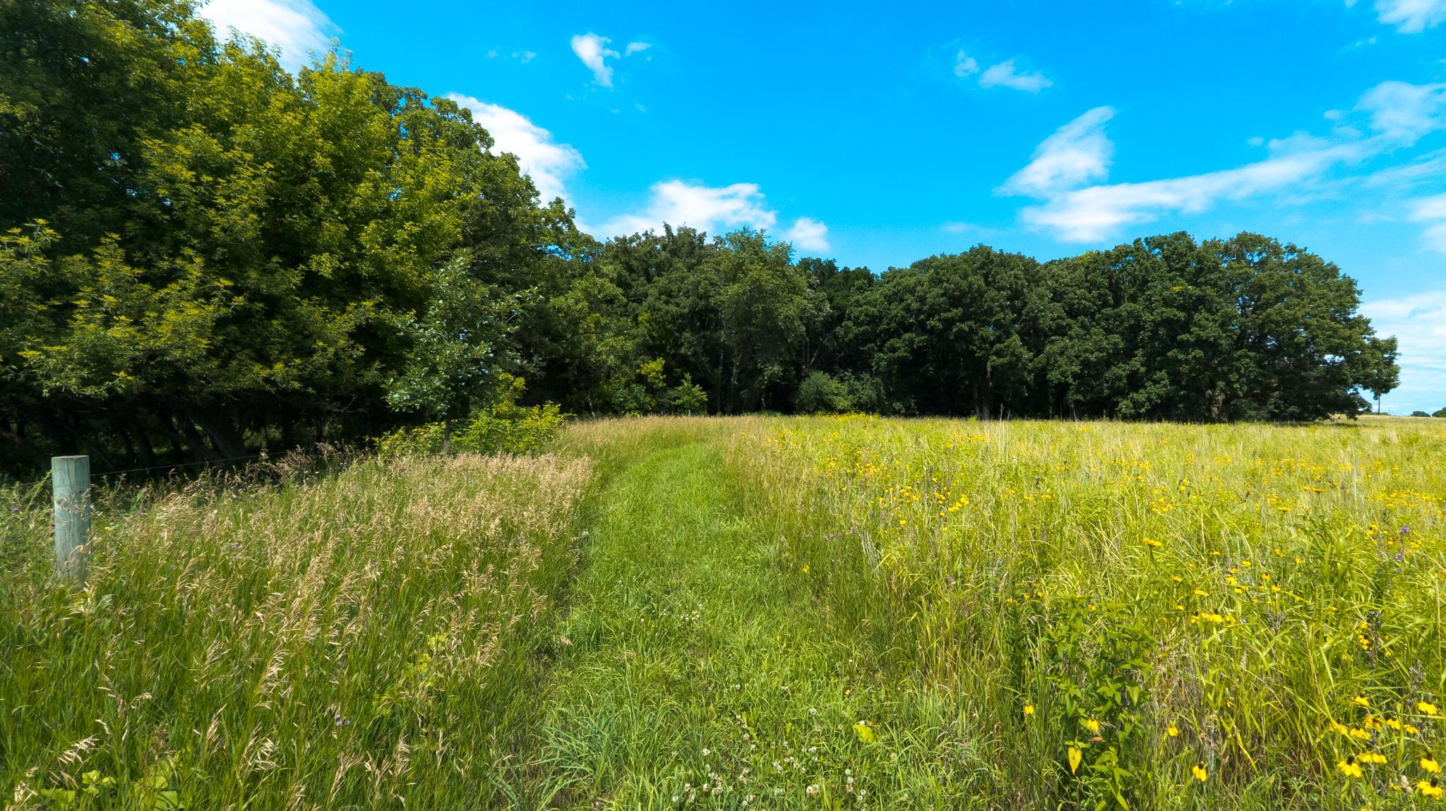 5490 College View Road E Property Photo 76