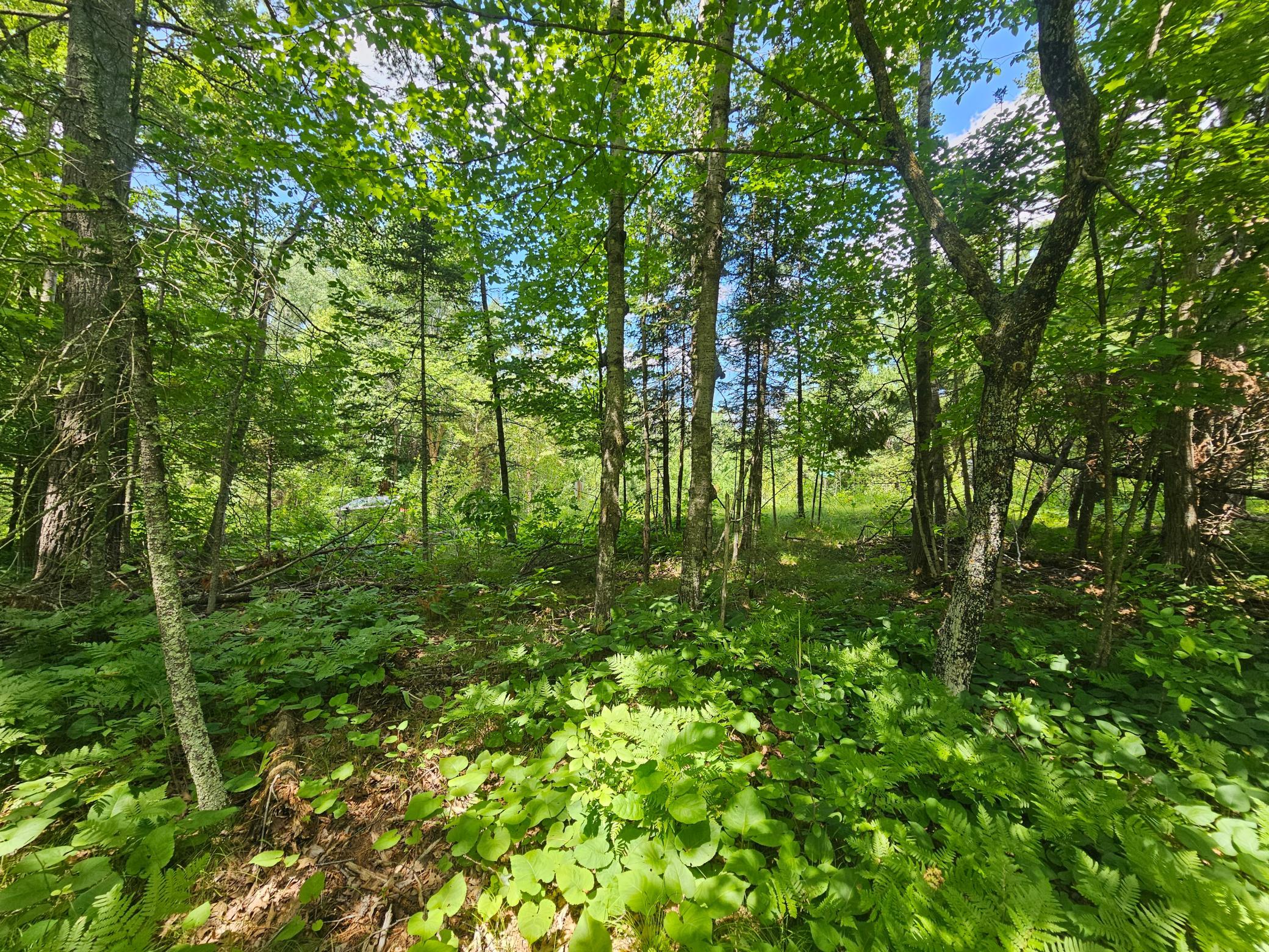 Tbd Cedar Shores Drive Property Photo 5