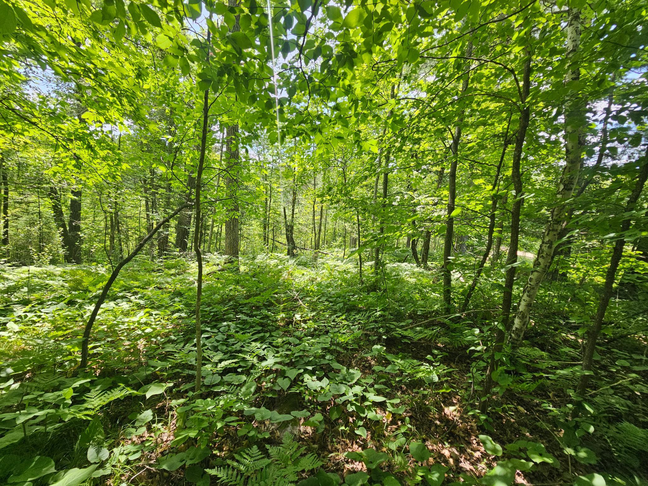 Tbd Cedar Shores Drive Property Photo 9