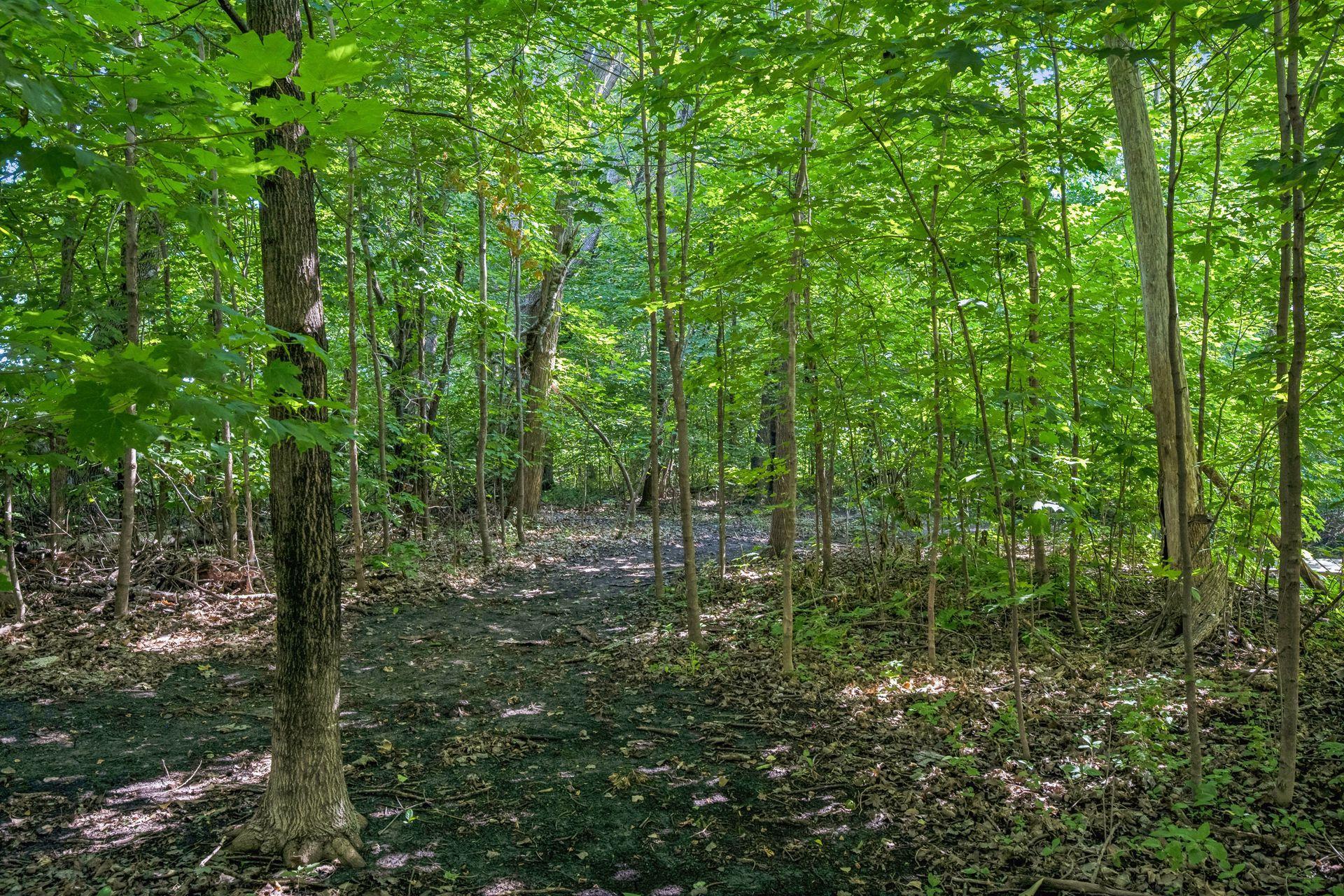 23120 Garrison Road Property Photo 66