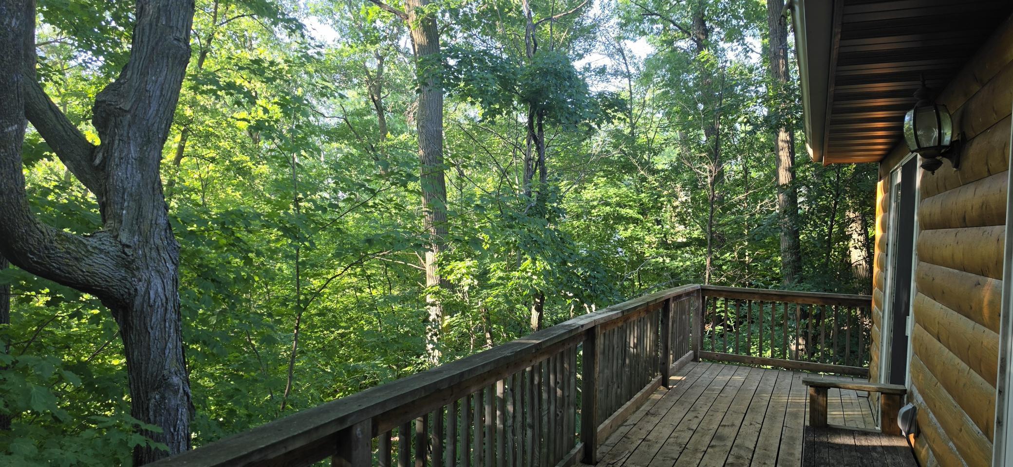 30494 White Pine Circle Property Photo 18