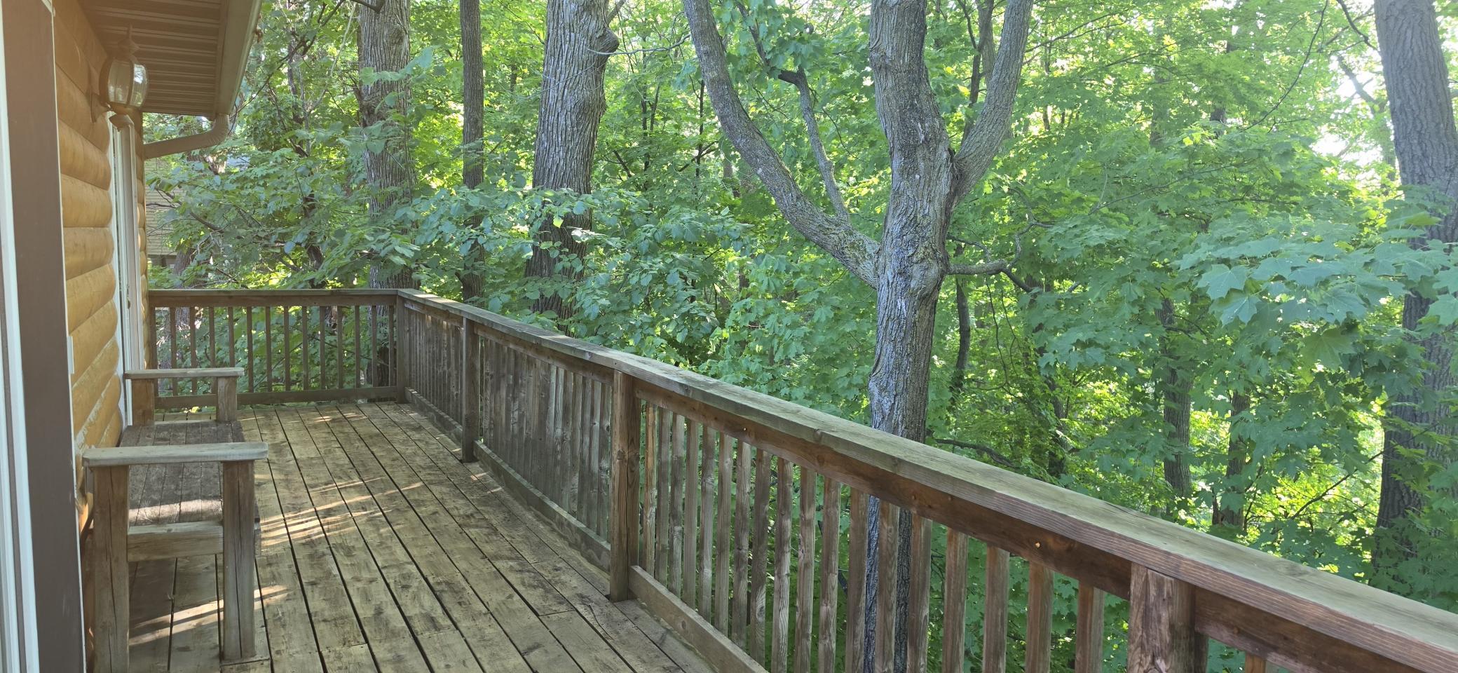 30494 White Pine Circle Property Photo 19