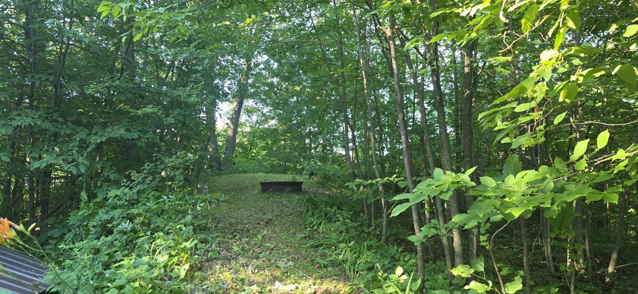 30494 White Pine Circle Property Photo 24