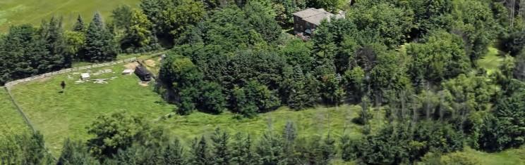 401 Rolling Hills Drive Property Photo 78