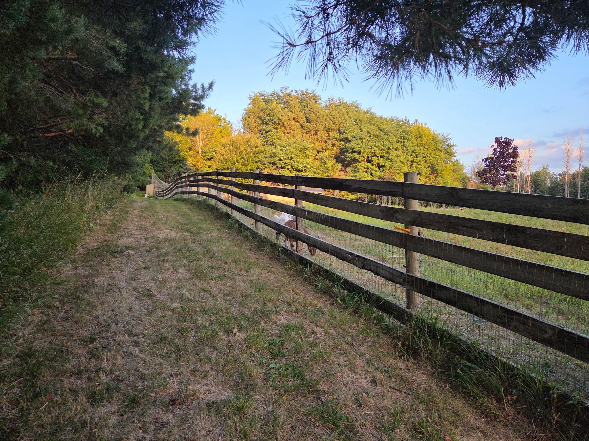 401 Rolling Hills Drive Property Photo 82