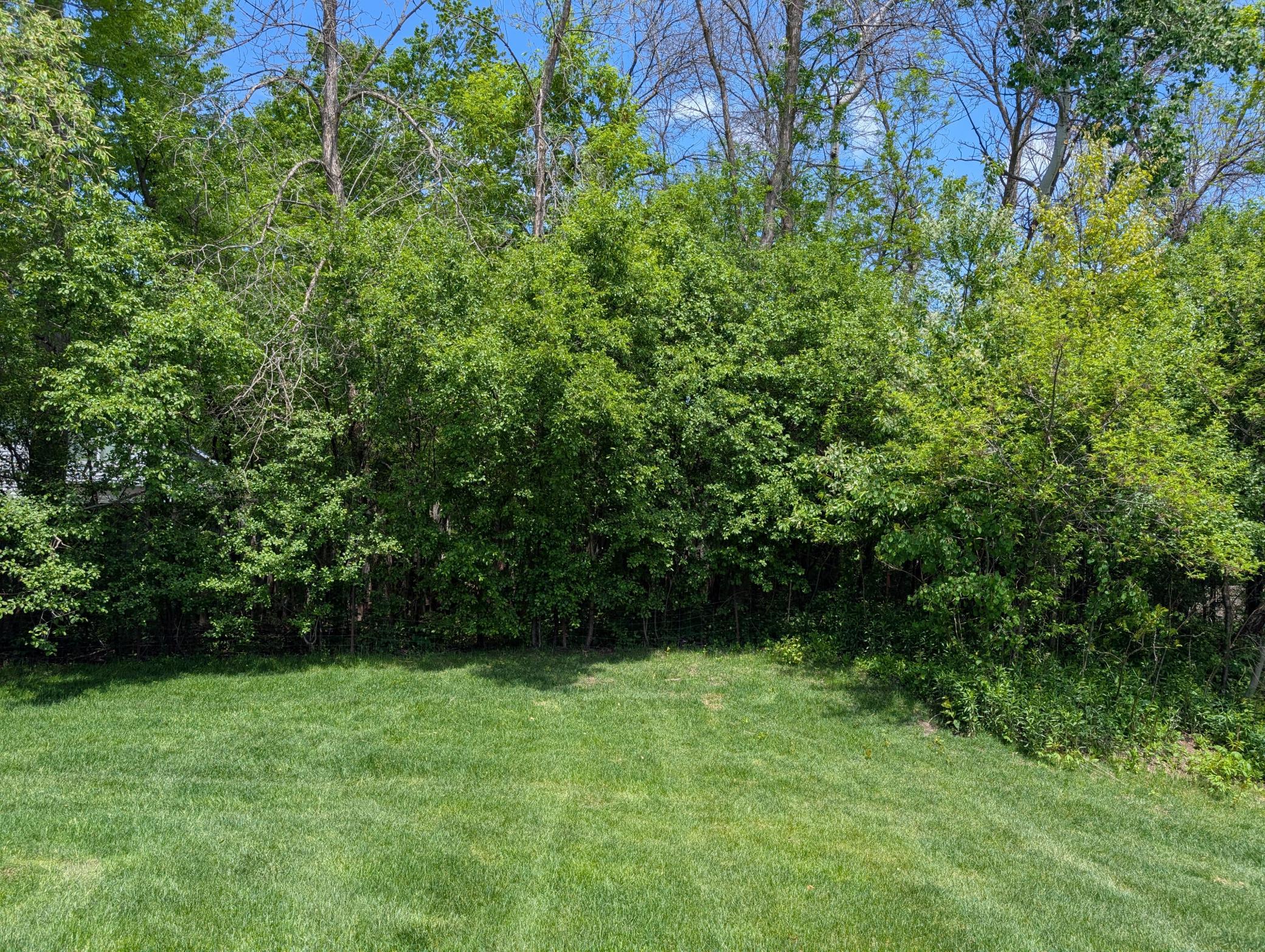 6230 Boulder Ridge Drive Property Photo 20